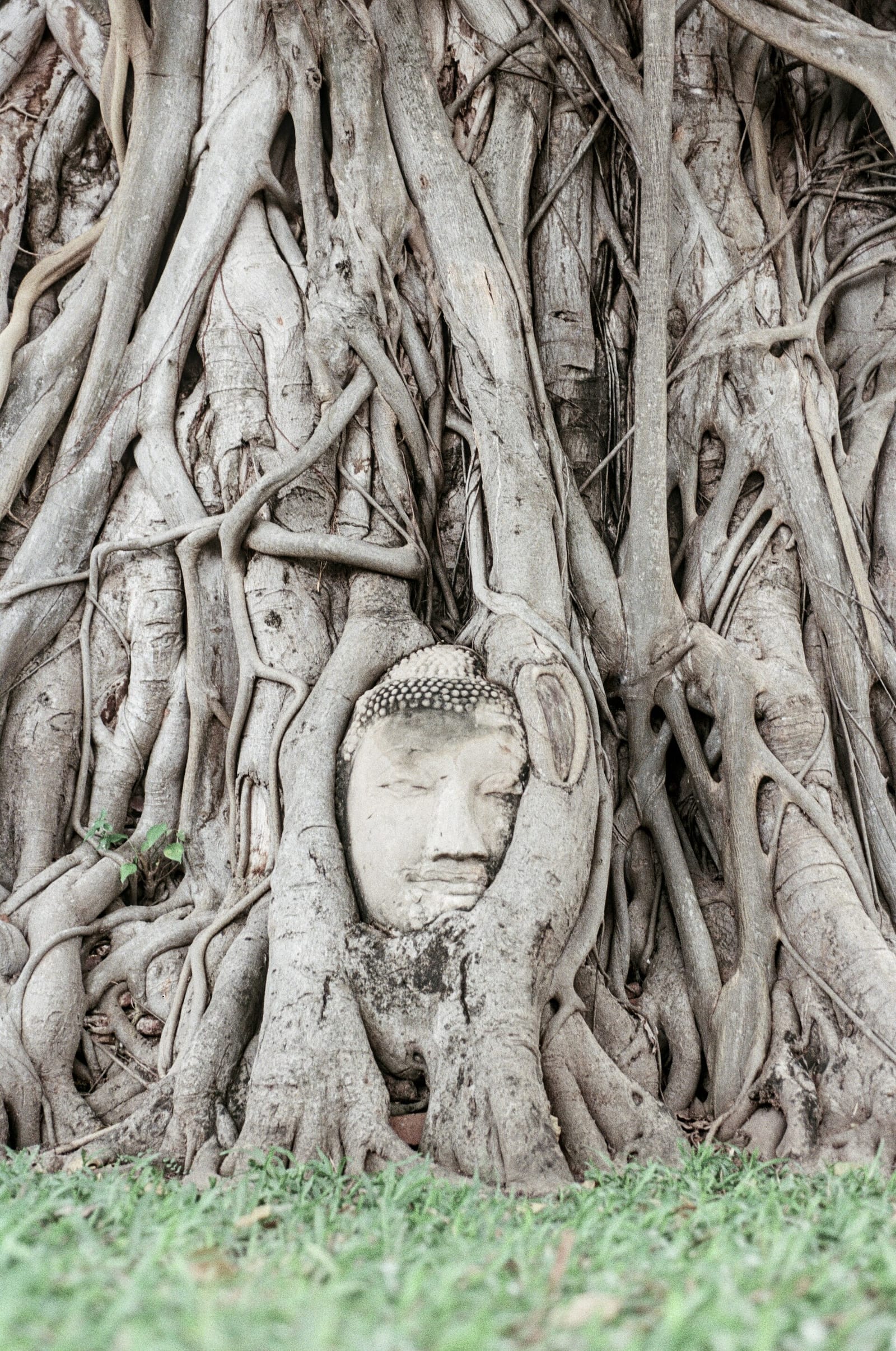 ปั่นจักรยานชมวัด + แต่งชุดไทยถ่ายรูปในเกาะเมืองอยุธยา