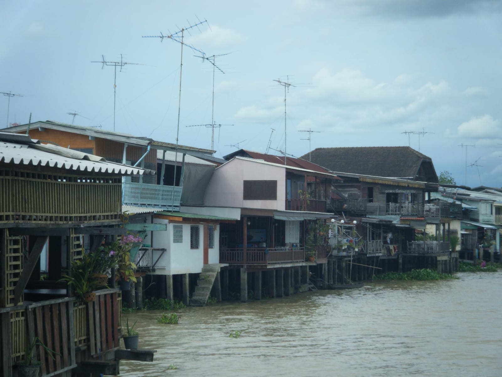 แผนกินตลาดบ้านใหม่ร้อยปี + ของกินริมน้ำบางปะกง