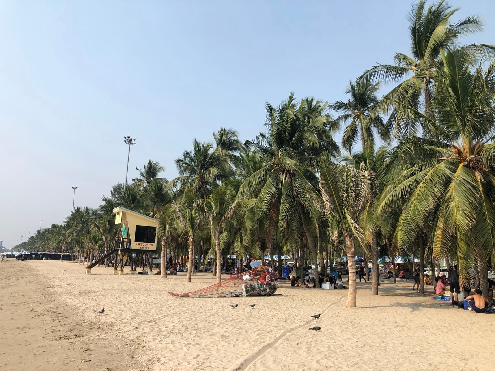 หาดบางแสน ทะเลใกล้กรุงเทพที่ไปได้ทั้งวัน