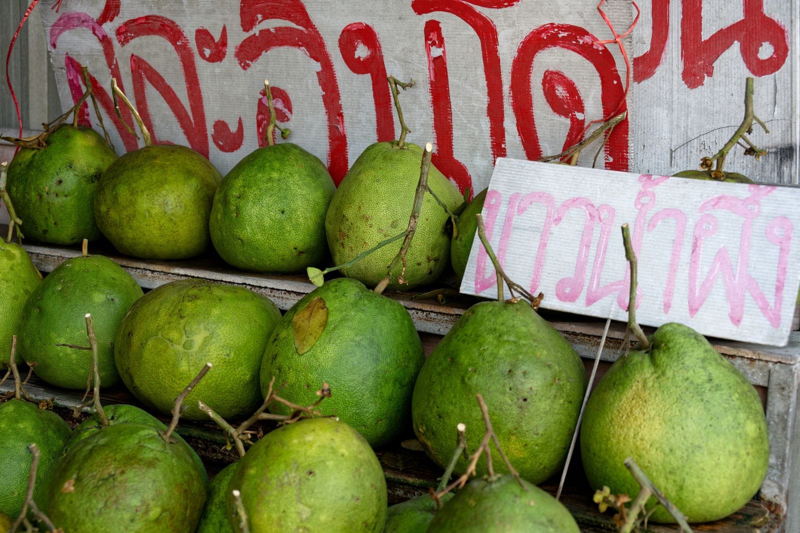 ส้มโอขาวแตงกวาชัยนาท พันธุ์ขึ้นชื่อ สวนและจุดซื้อ
