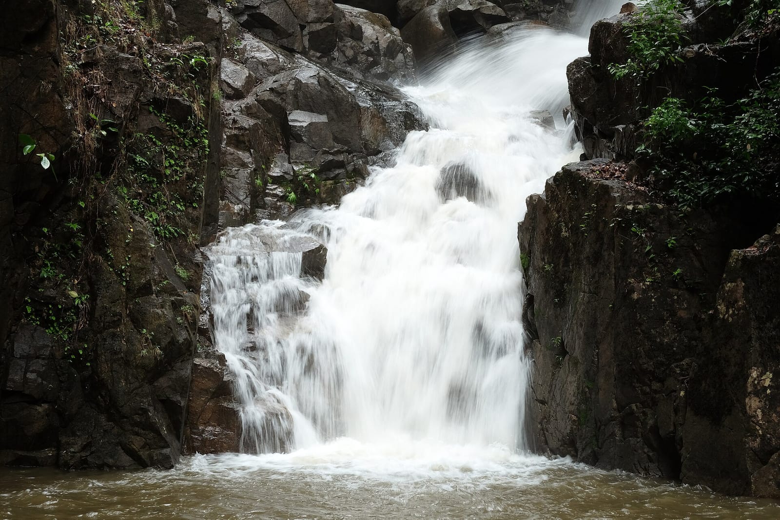 แพลนสายธรรมชาติจันทบุรี น้ำตก–ภูเขา–ป่าชายเลน 3 วัน