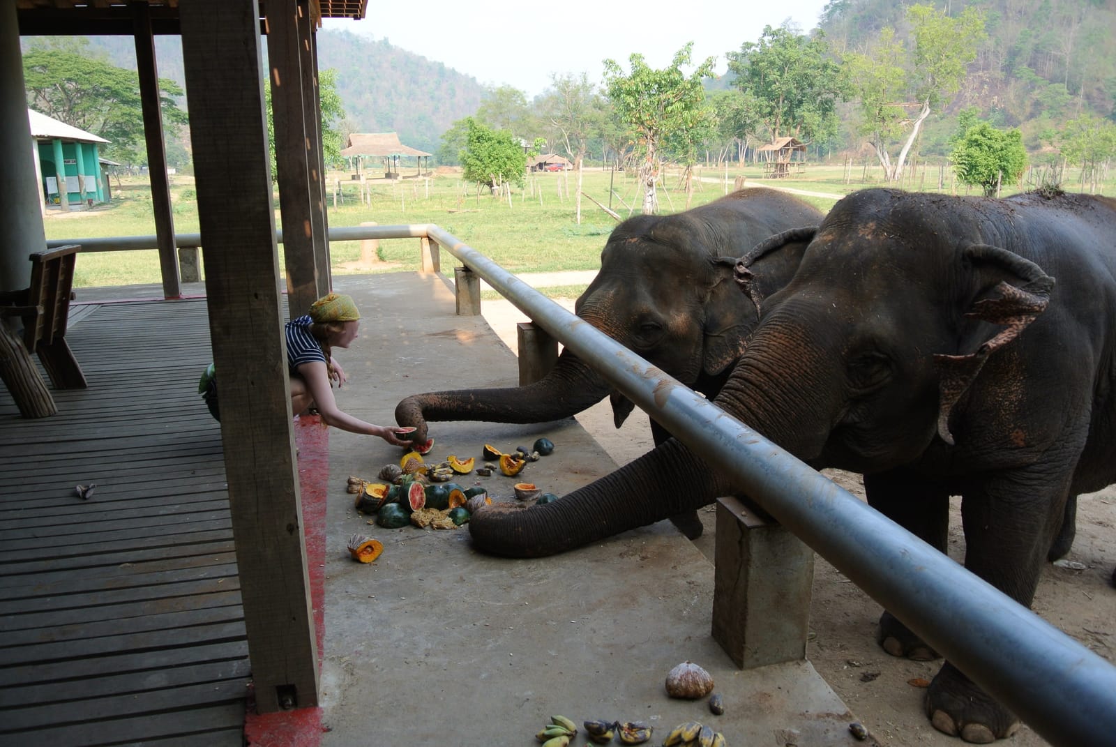 เที่ยวเชียงใหม่กับลูก 3 วัน ปางช้าง สวนสัตว์ คาเฟ่เด็กเล่น