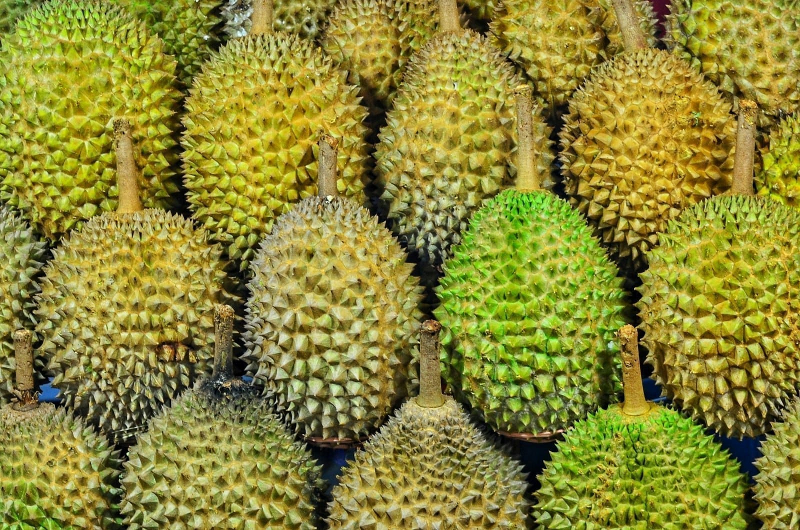 ผลไม้ชุมพรตามฤดู ทุเรียน มังคุด แผงริมทาง สวนผลไม้