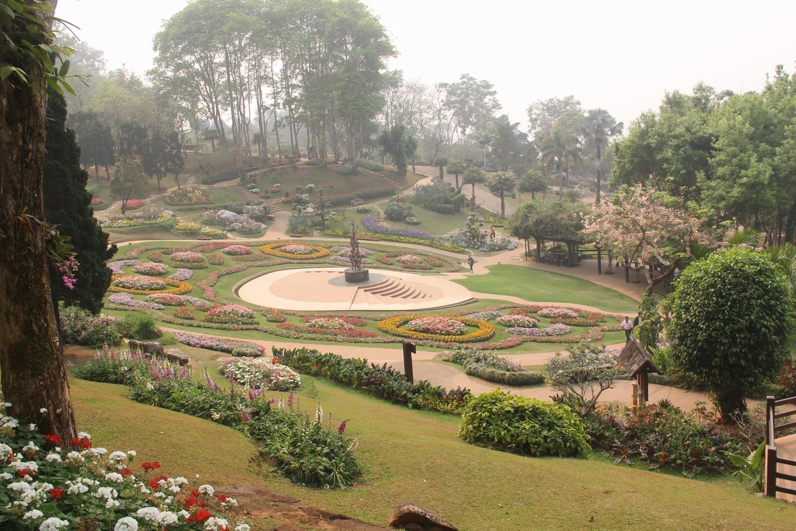 ดอยตุง พระตำหนัก + สวนแม่ฟ้าหลวง