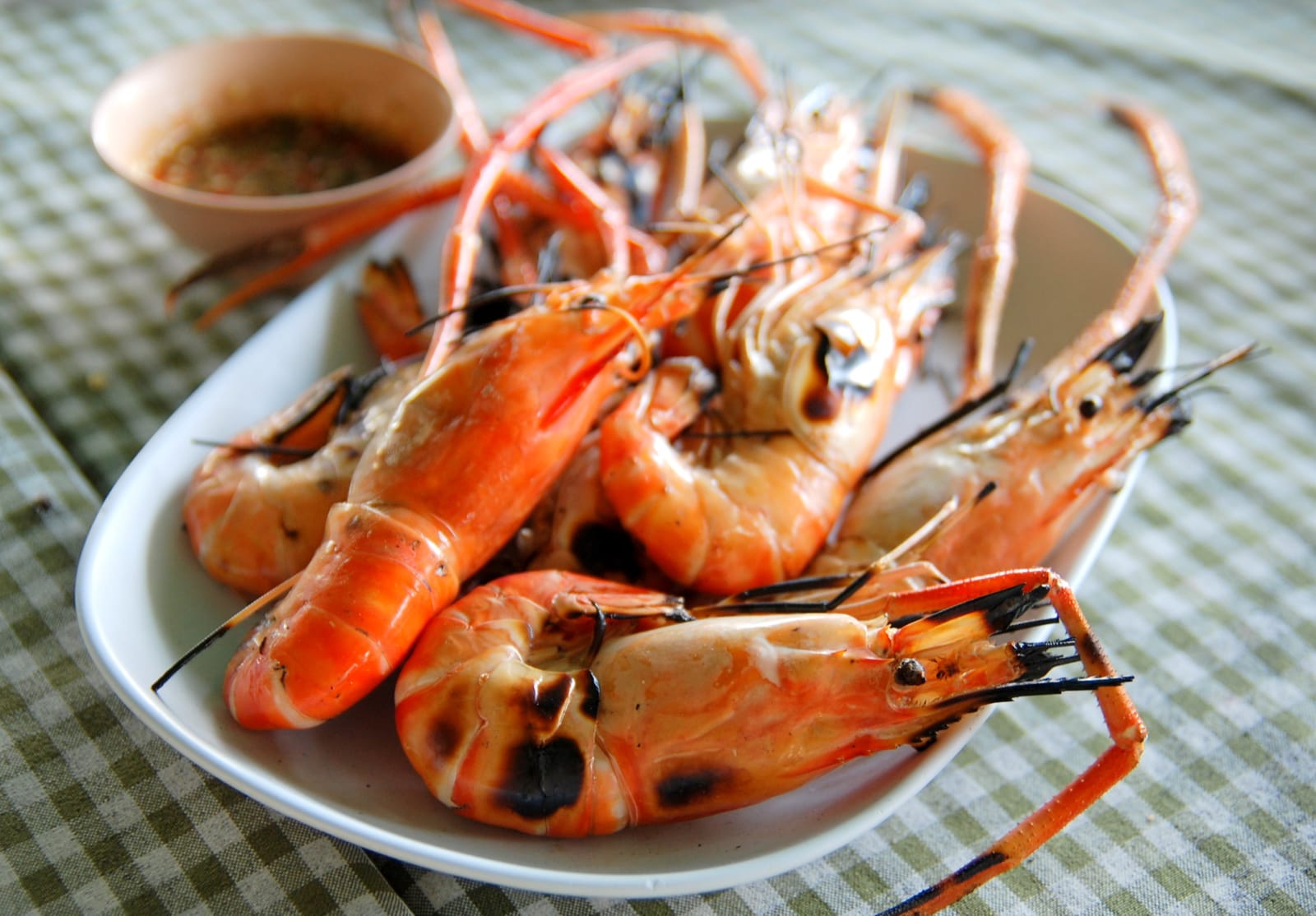 ร้านอาหารทะเลดอนหอยหลอด 10 ร้านเด็ด ริมปากอ่าวแม่กลอง