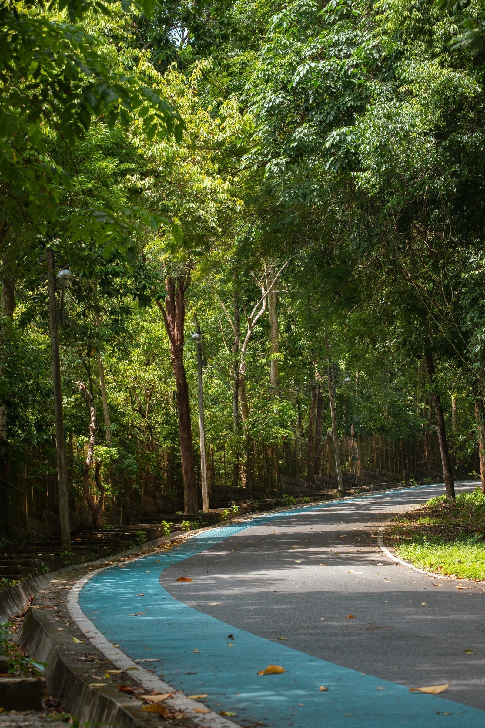 Hat Yai Nature Plan Ton Nga Chang Waterfall + Khao Kho Hong