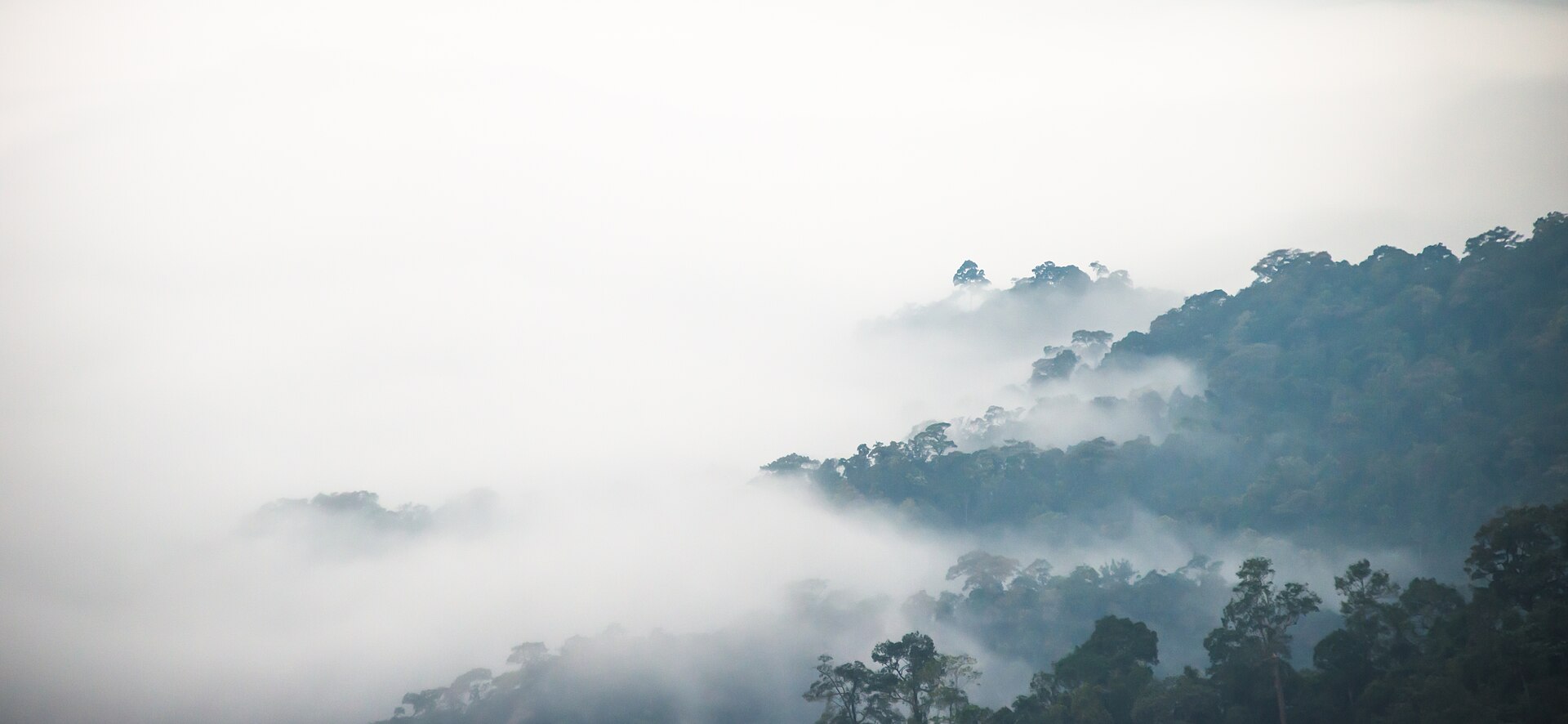 แผนสายธรรมชาติเพชรบุรี แก่งกระจาน–พะเนินทุ่ง–แหลมผักเบี้ย