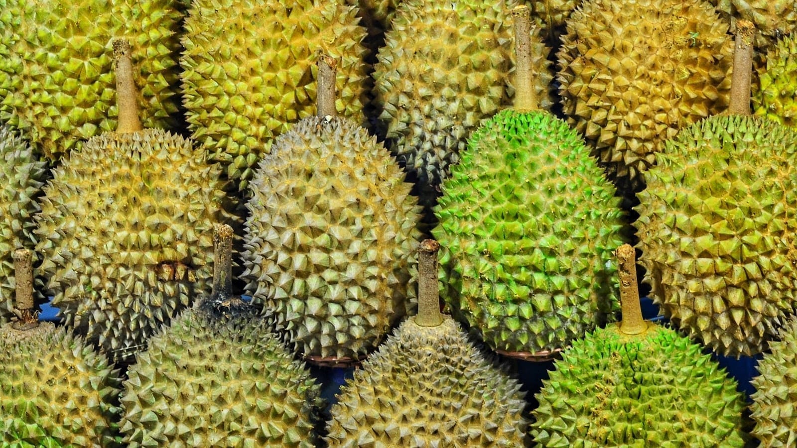 เส้นทางกันทรลักษ์-ขุนหาญ สายทุเรียนภูเขาไฟและธรรมชาติชายแดน