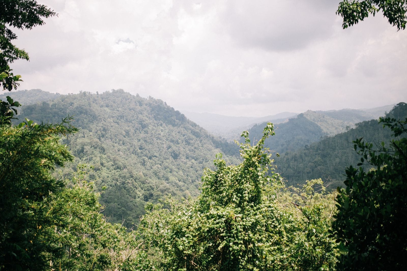 Khao Yai Itinerary 2 Days 1 Night