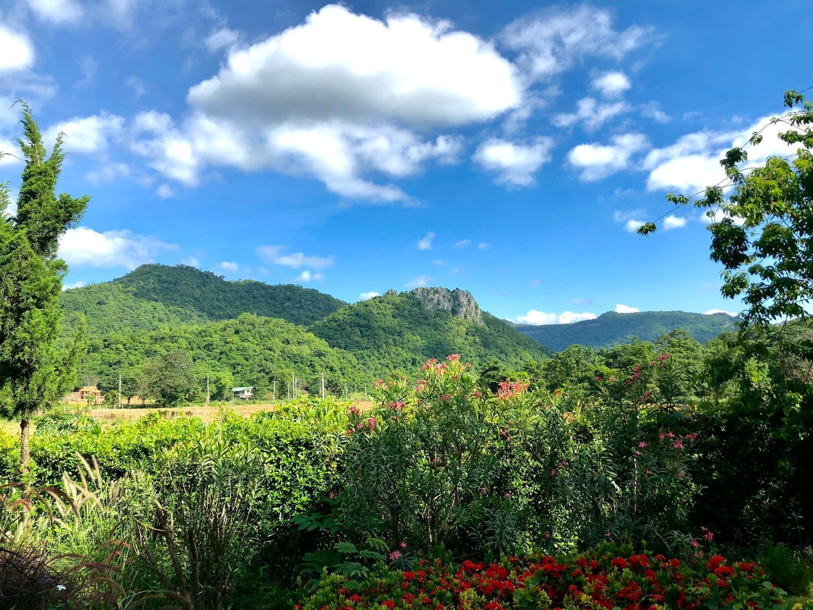 Khao Yai with the Kids Farms, a Water Park & Animal Feeding in 2 Days