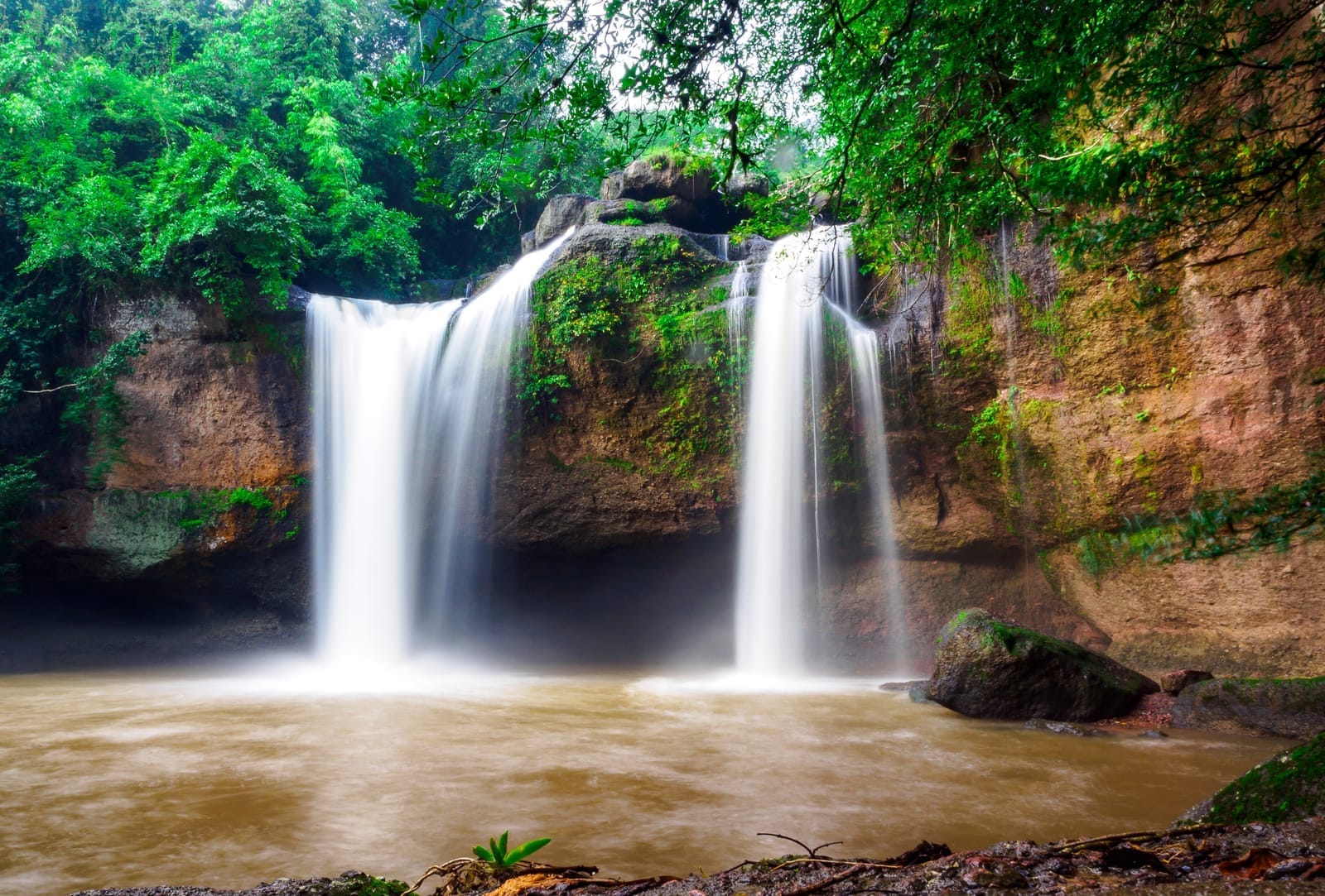 Khao Yai Nature Trip Park, Waterfalls, Wildlife & Sea of Mist in 3 Days