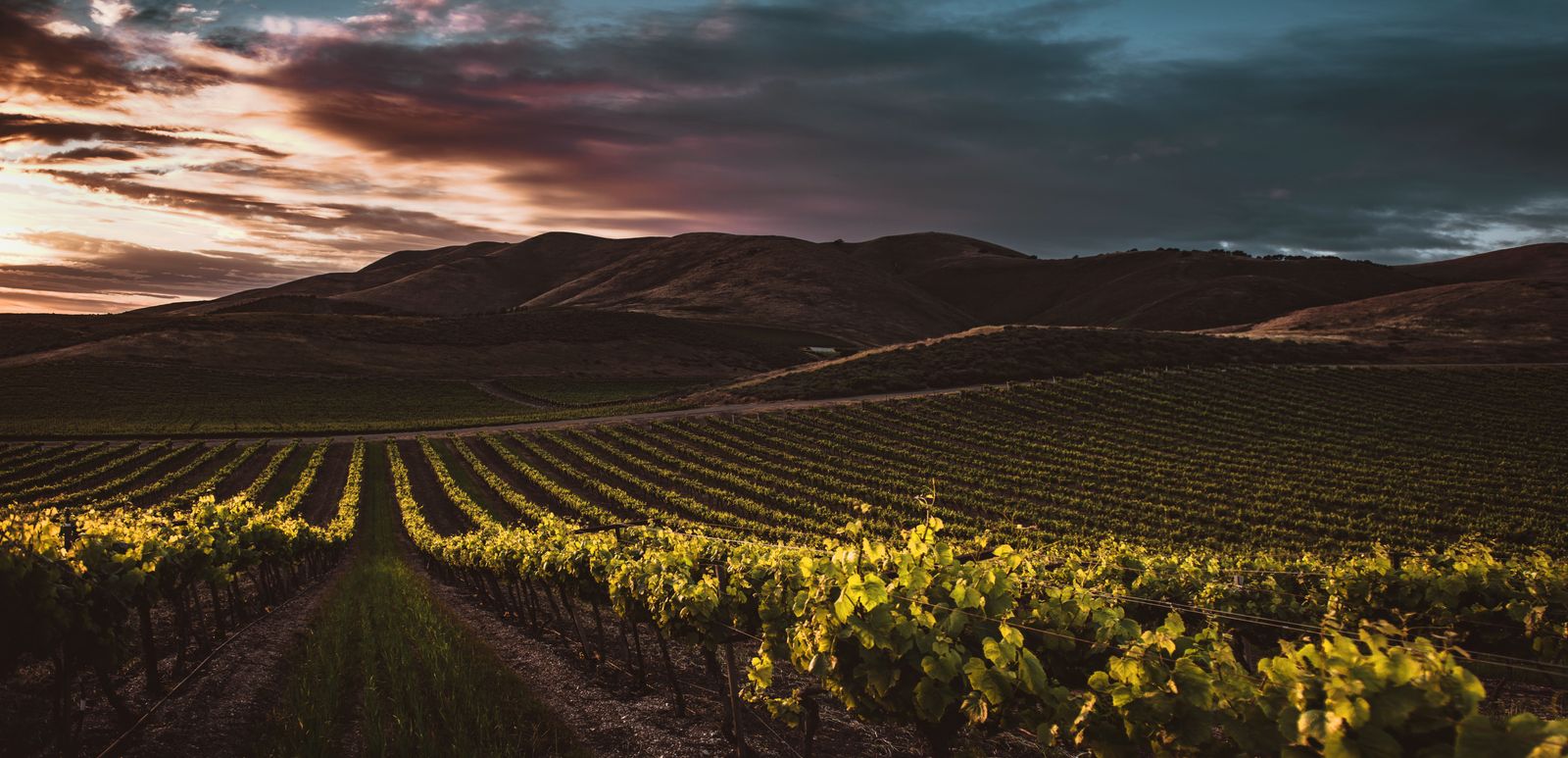 Khao Yai Vineyard Restaurants Dine Among the Vines, Pair the Wine