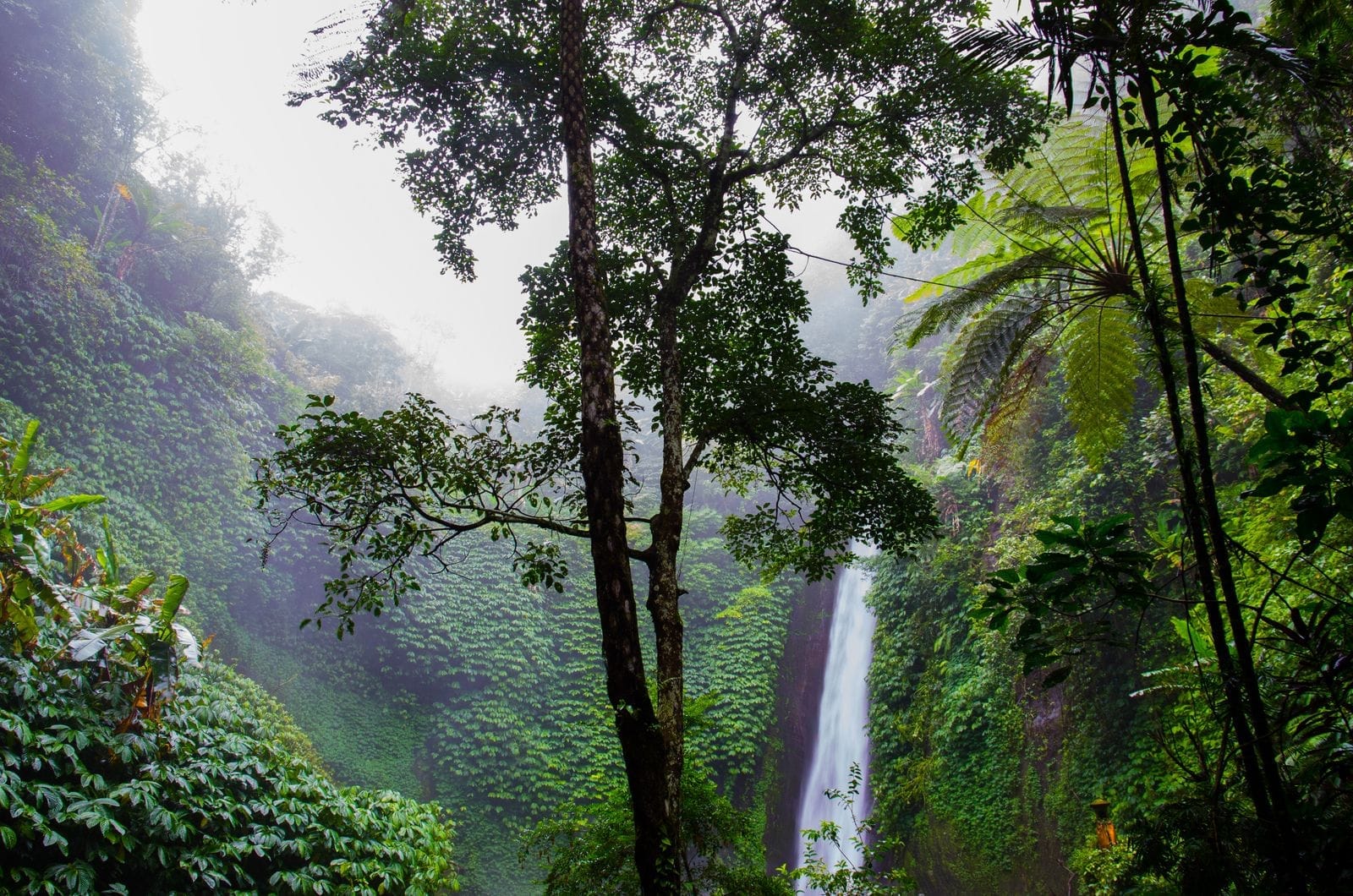 Than Mayom Waterfall Tiered Falls on the East Coast