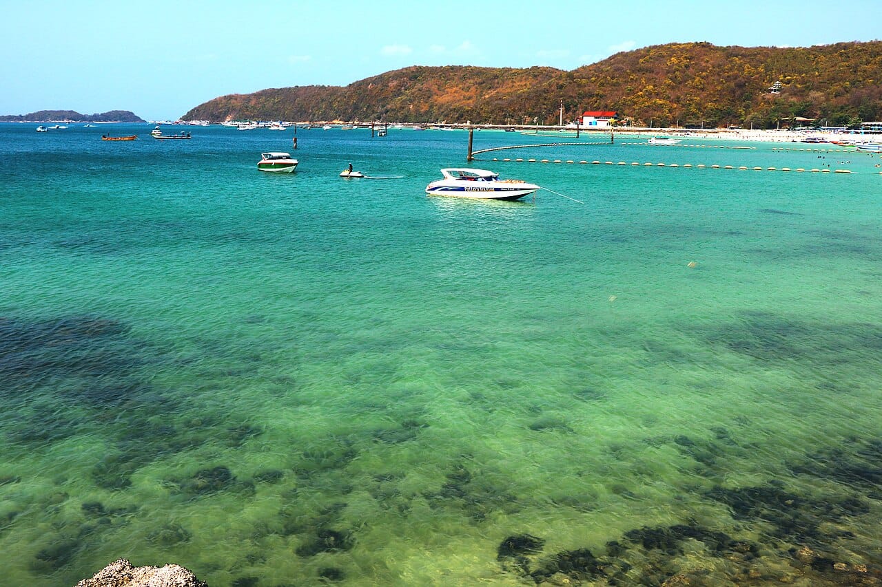 Koh Larn Cafes Coffee & Desserts to Sip While You Wait for the Ferry