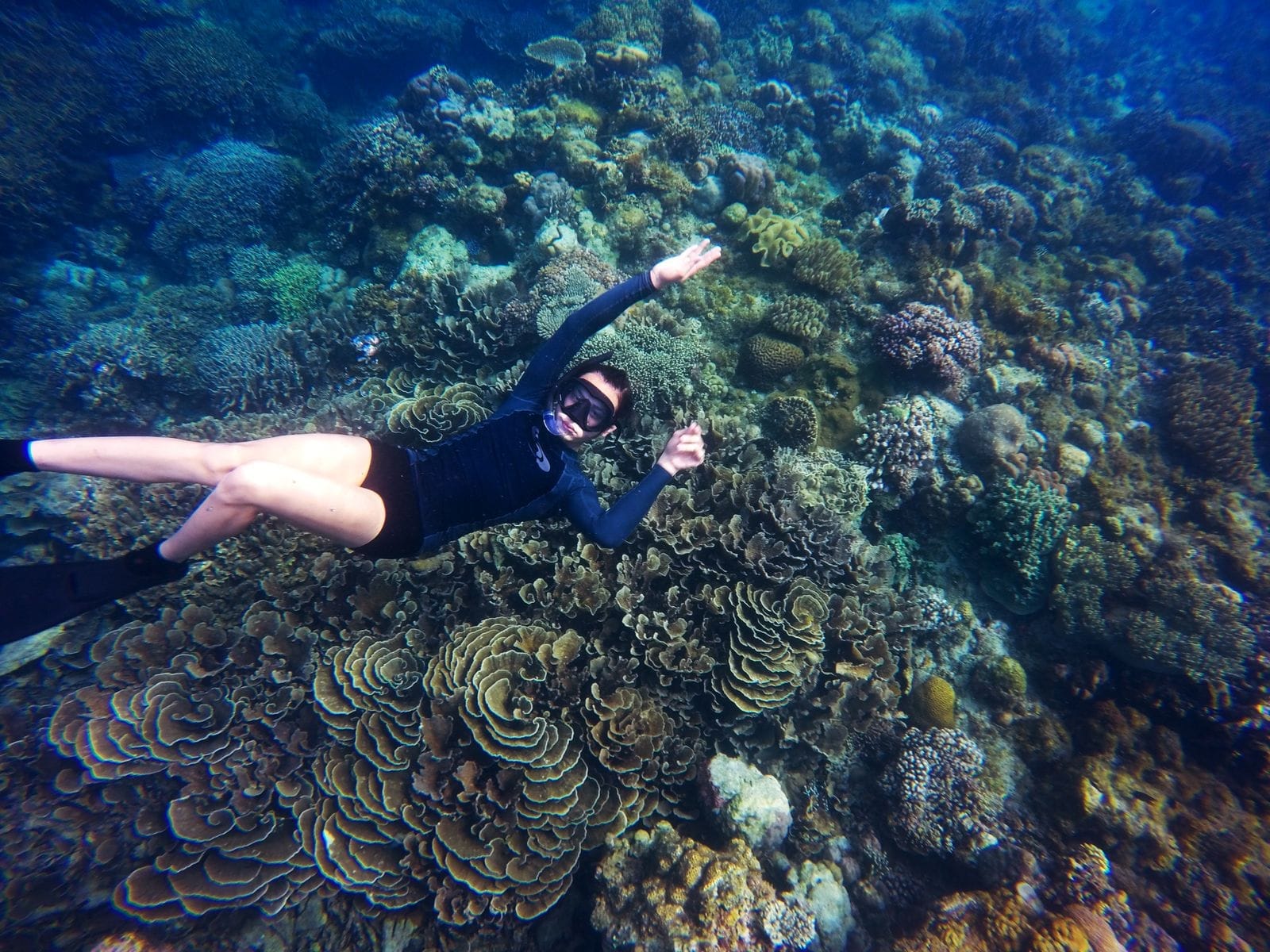 ดำน้ำตื้นเกาะหลีเป๊ะ หินงาม · จาบัง · เกาะยาง