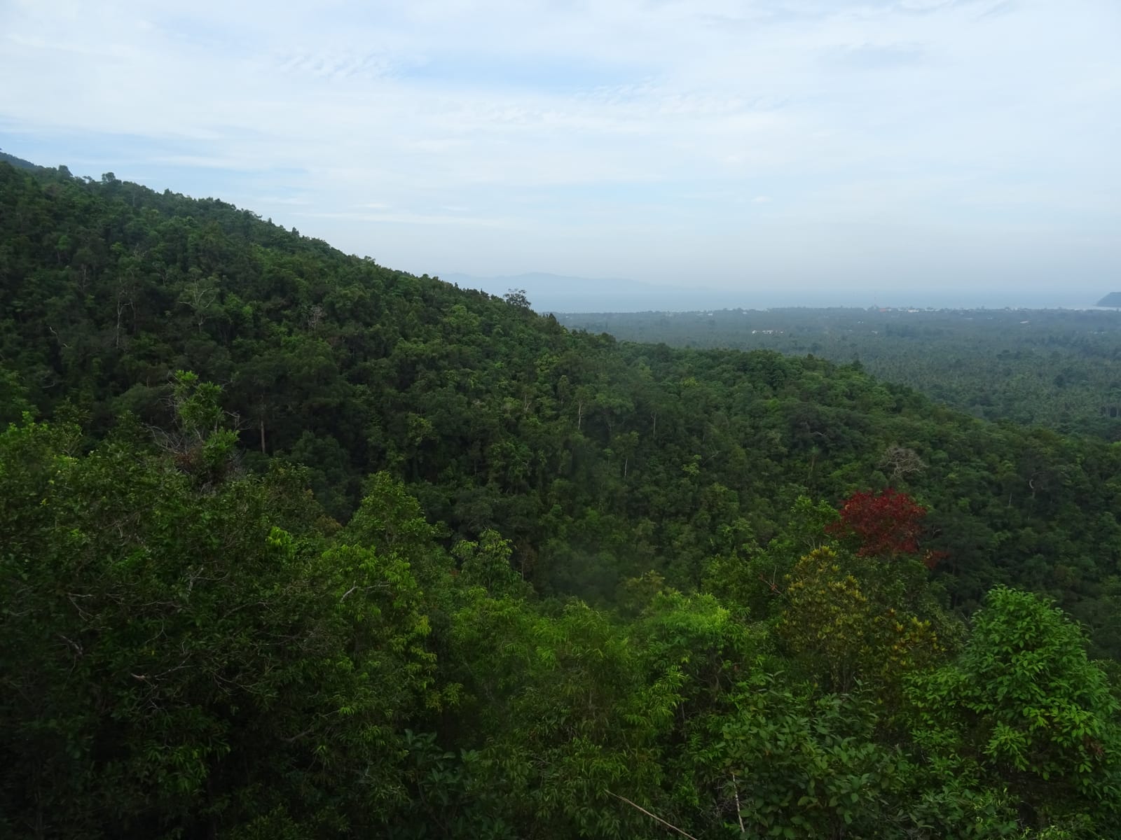 น้ำตกเกาะพะงัน เดินป่าสั้น เล่นน้ำคลายร้อนกลางเกาะ