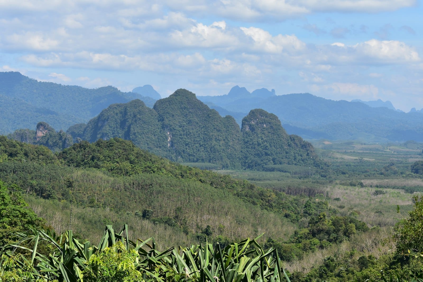 การเดินทางโคราช-เขาใหญ่ ไปยังไง เที่ยวยังไง