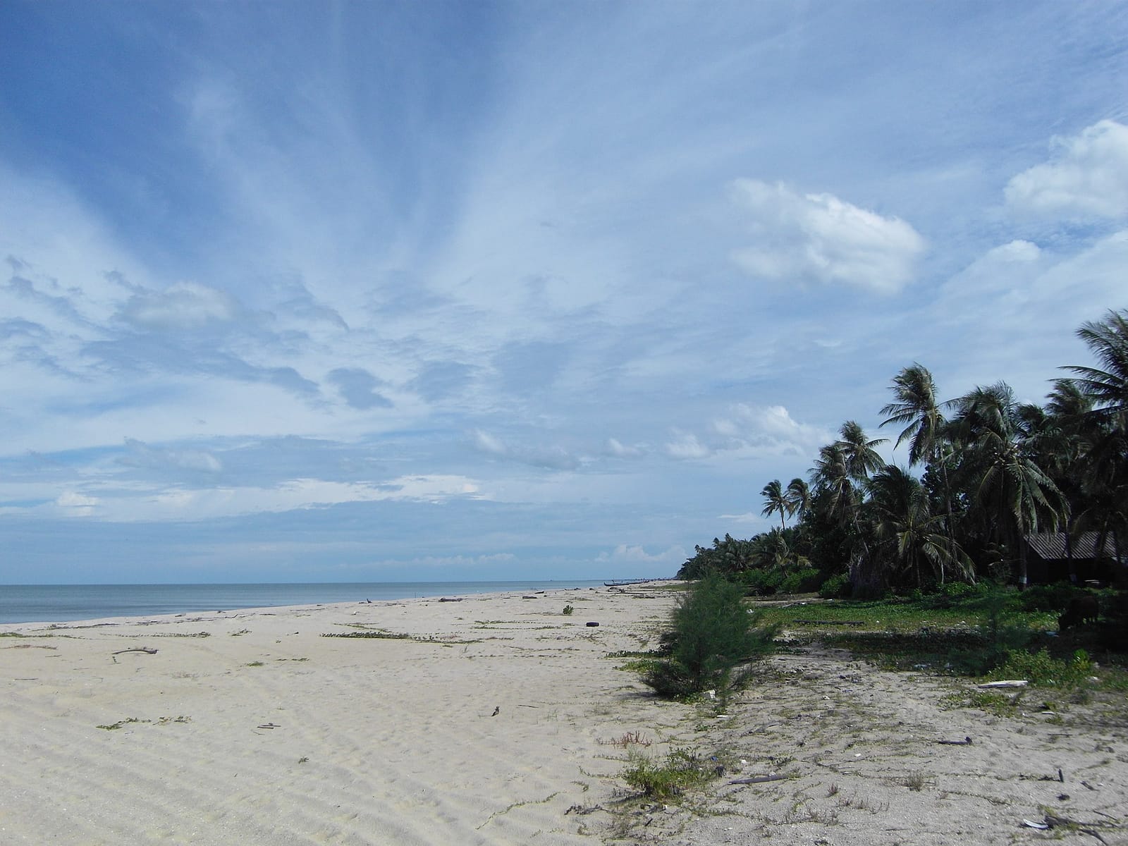 แหลมตะลุมพุก ปากพนัง หาดทรายยาว วิถีชายเล อาหารทะเลสด