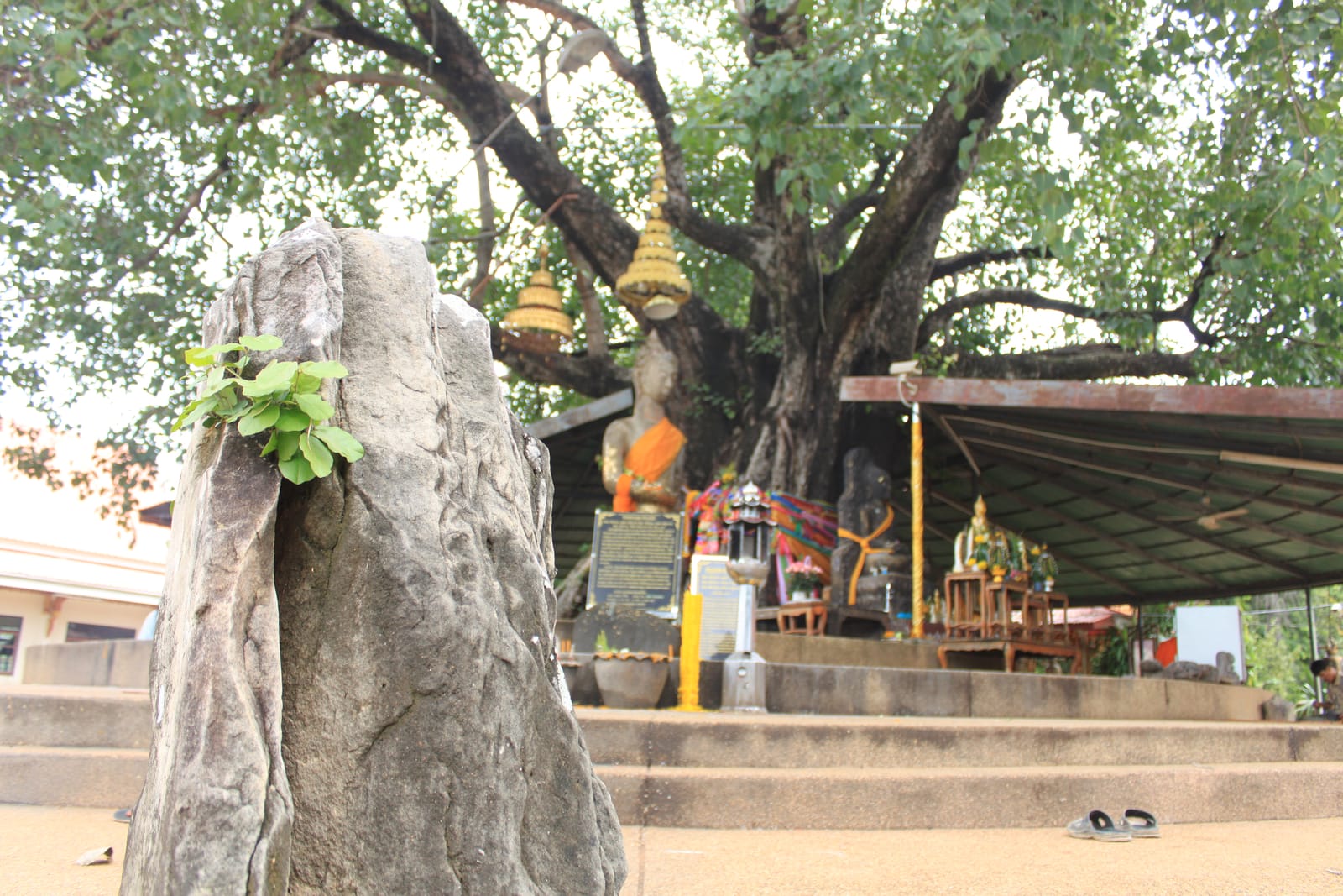 เตรียมตัวเที่ยวมหาสารคาม ช่วงไหนดี อากาศ งบ แต่งตัว