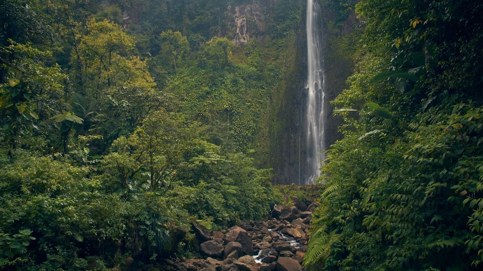 นราธิวาสสายธรรมชาติ ป่าพรุ–น้ำตก–ทะเลใต้ 3 วัน