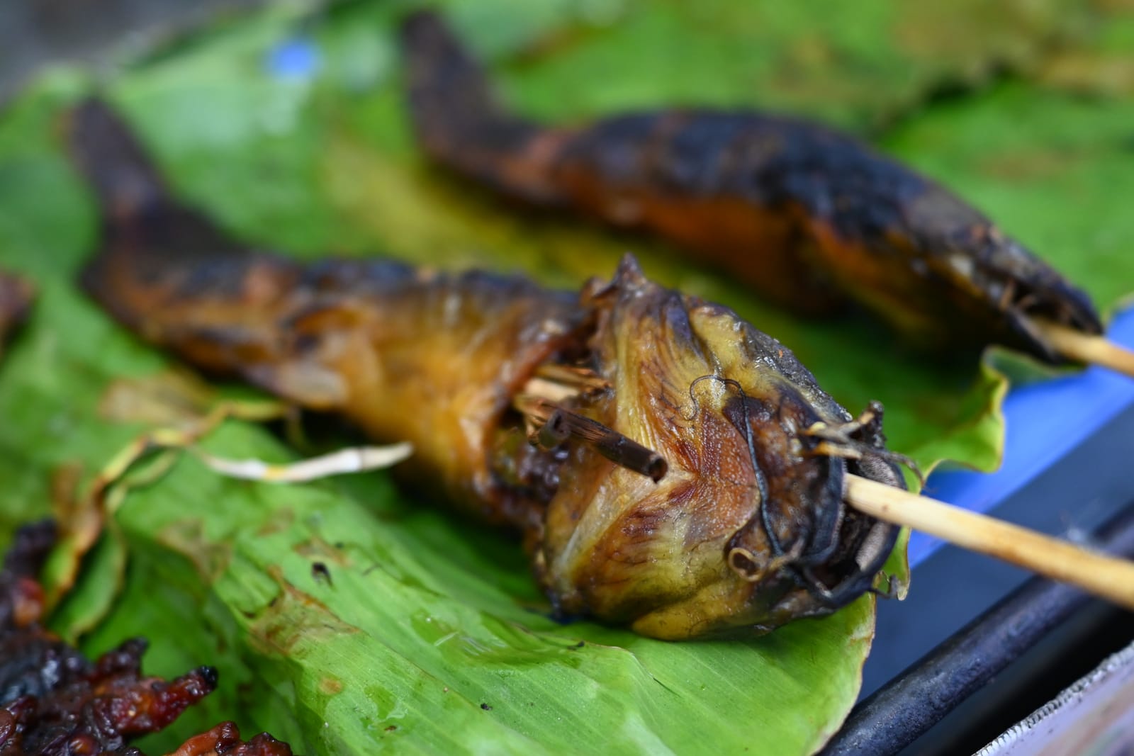 ปลาเผาริมน้ำหนองบัวลำภู นั่งรับลมริมเขื่อนอุบลรัตน์