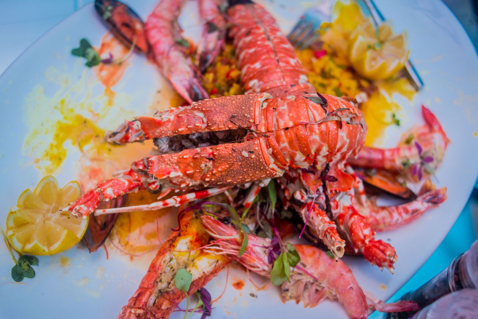 อาหารทะเลปากน้ำ-บางปู 8 ร้านริมทะเลที่คนกรุงเทพขับมากิน