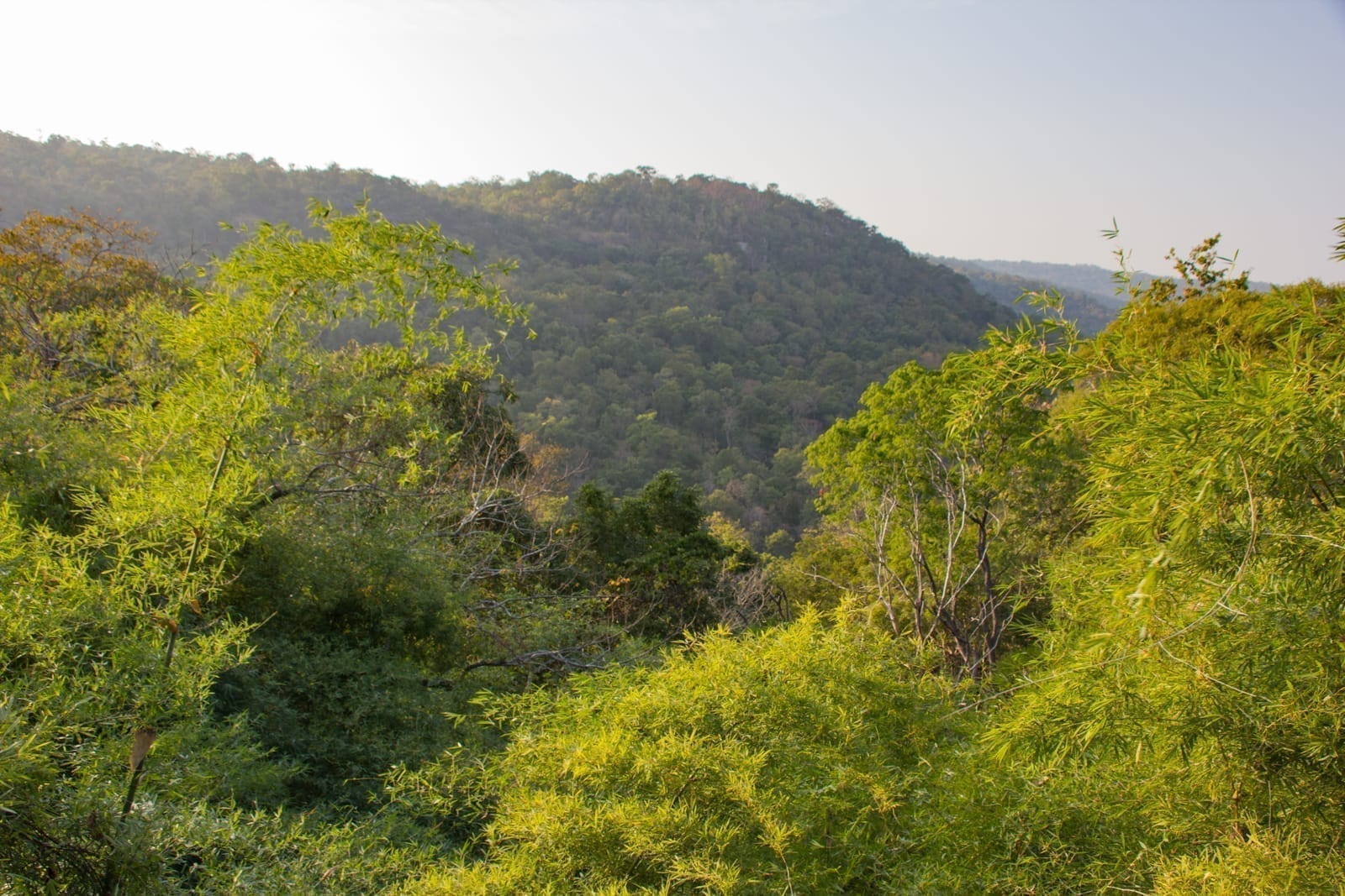อุทยานแห่งชาติภูผาเทิบ ลานหินรูปแปลก กับผาอูฐชมพระอาทิตย์ตก