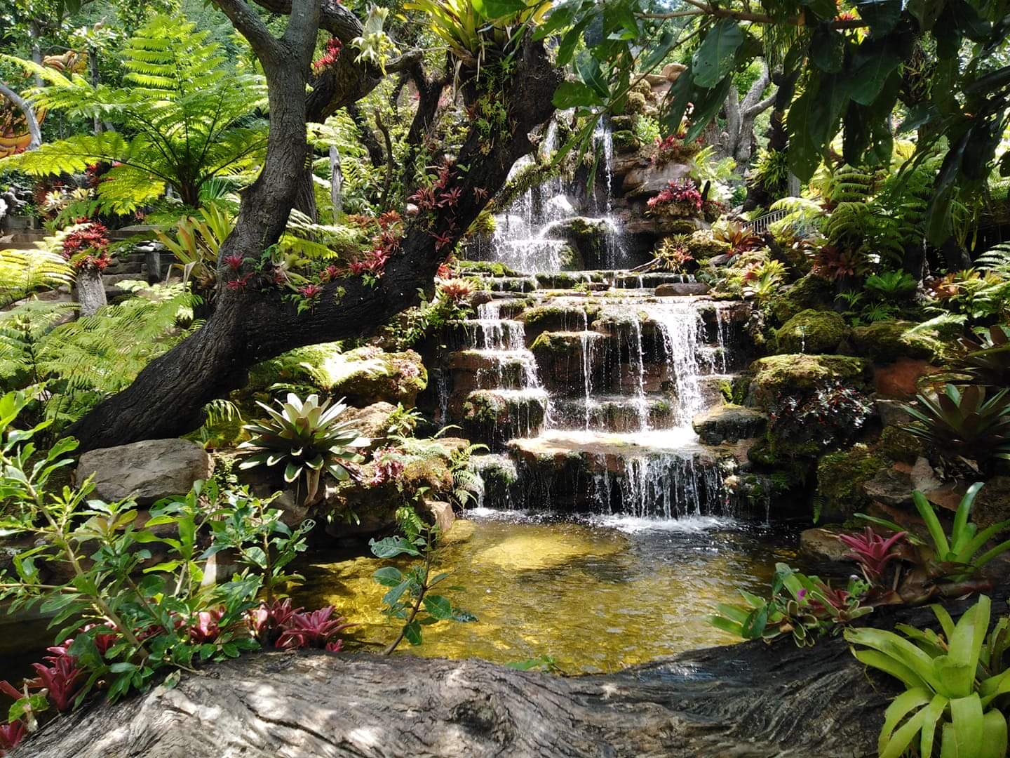 แผนเที่ยวสกลนครสายธรรมชาติ ภูพาน–น้ำตกคำหอม–วัดถ้ำผาแด่น 3 วัน
