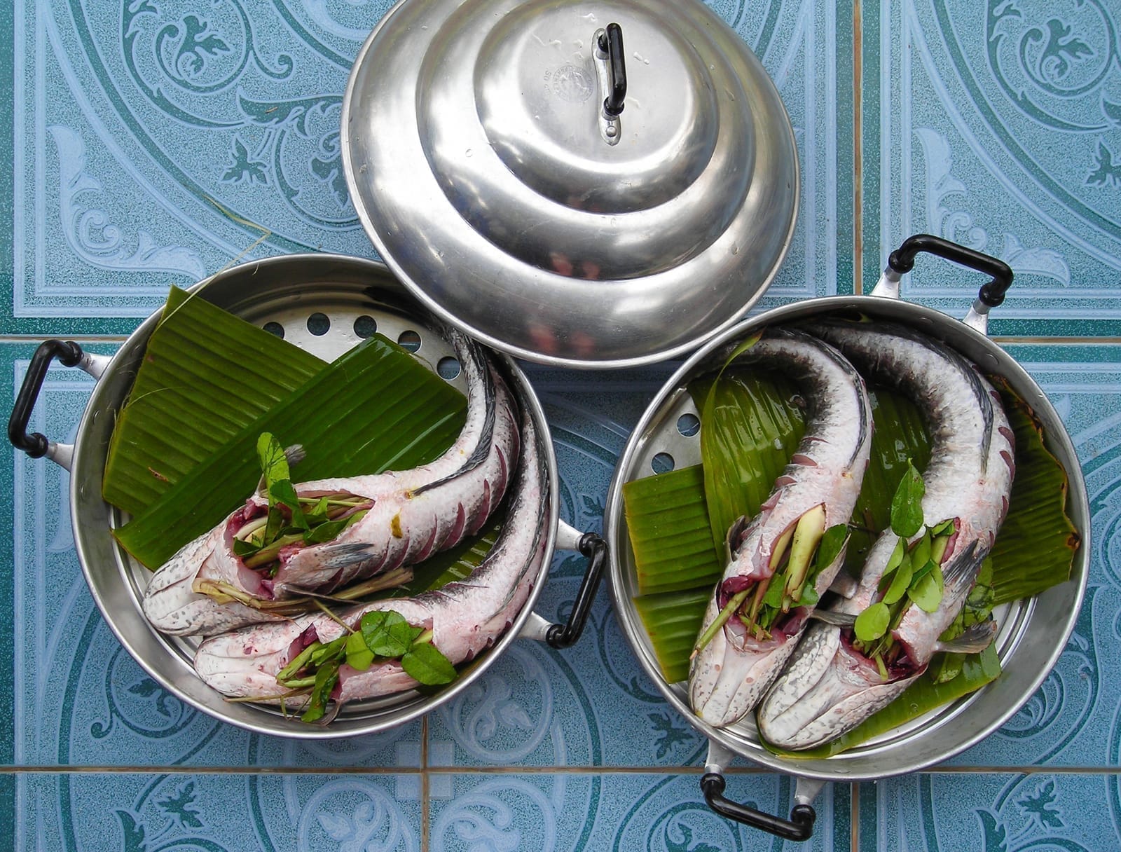 ของกินสิงห์บุรี ปลาช่อนแม่ลา ปลาแม่น้ำ ก๋วยเตี๋ยวเรือ