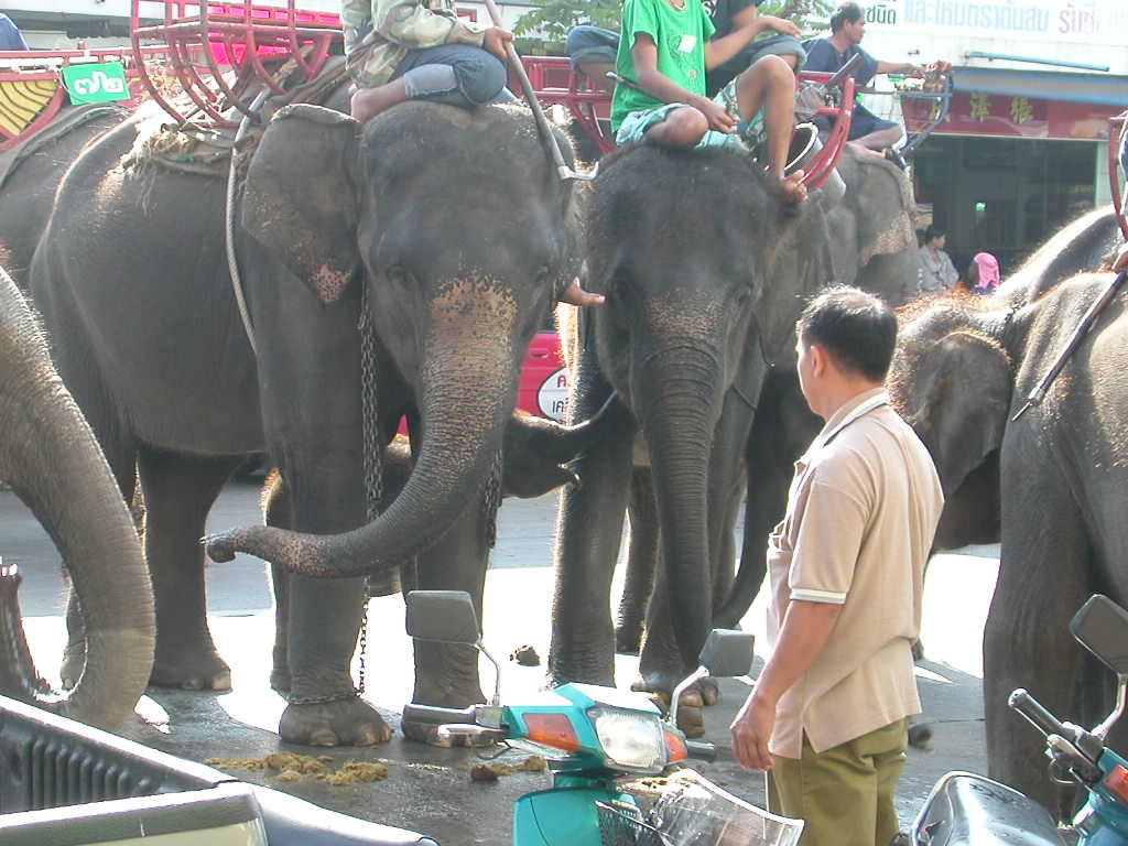 แผนเที่ยวสุรินทร์ 2 วัน 1 คืน เมือง หมู่บ้านช้าง ปราสาทขอม ผ้าไหม
