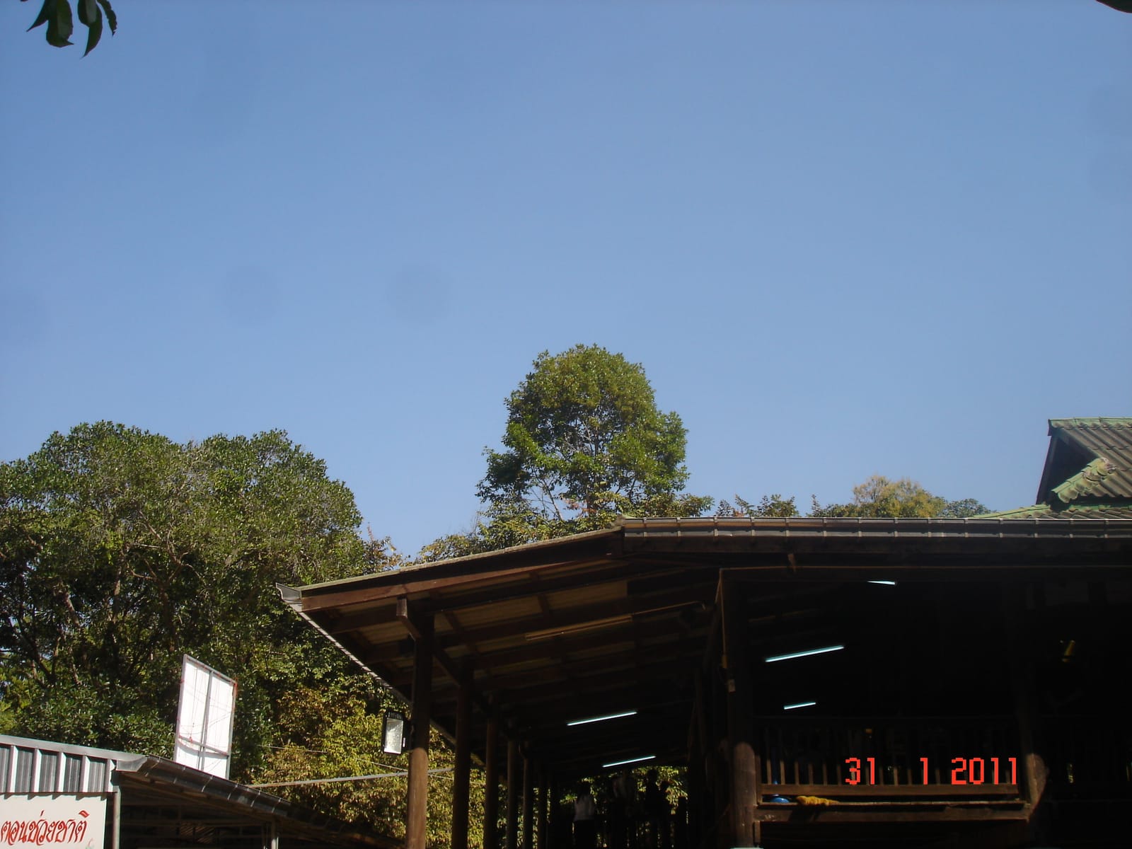 วัดป่าบ้านตาด หลวงตามหาบัว ป่าใหญ่กลางเมือง