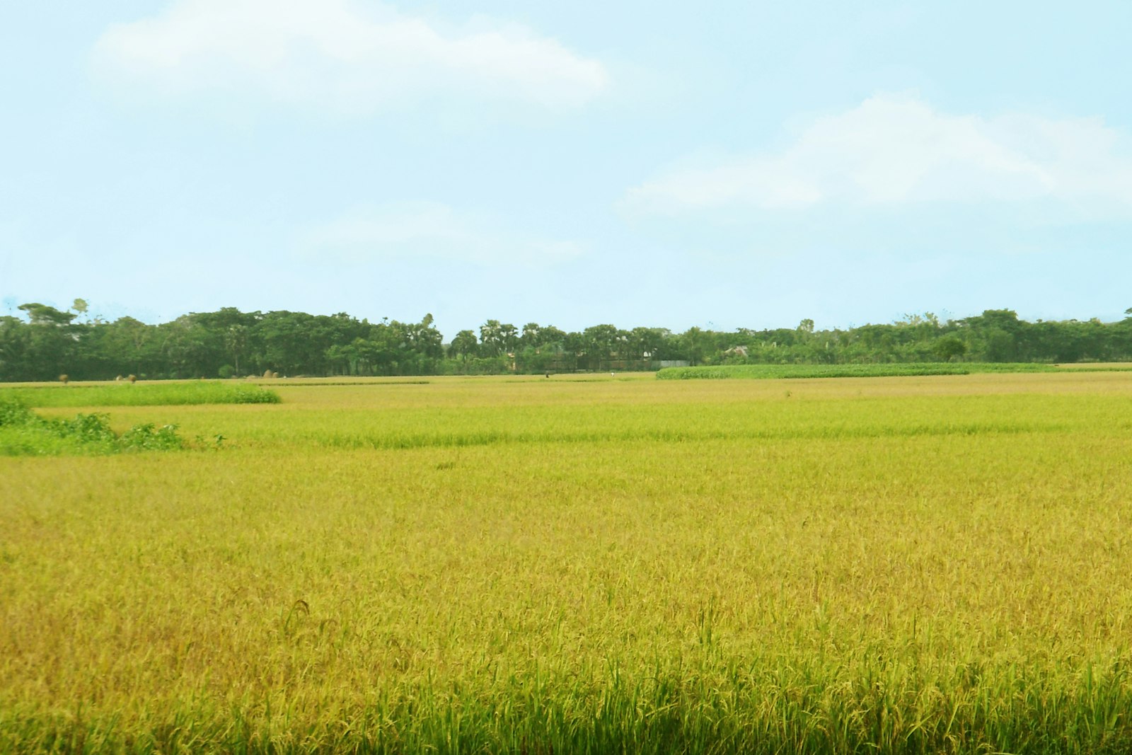 แผนเที่ยวยโสธรสายธรรมชาติ ภูถ้ำพระ น้ำตก ทุ่งนาอีสาน
