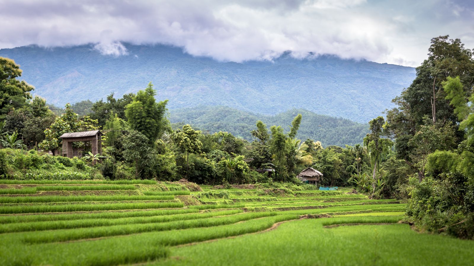แผนเที่ยวยโสธร–ร้อยเอ็ด 2 วัน ตามรอยทุ่งกุลาและของกินพื้นถิ่น