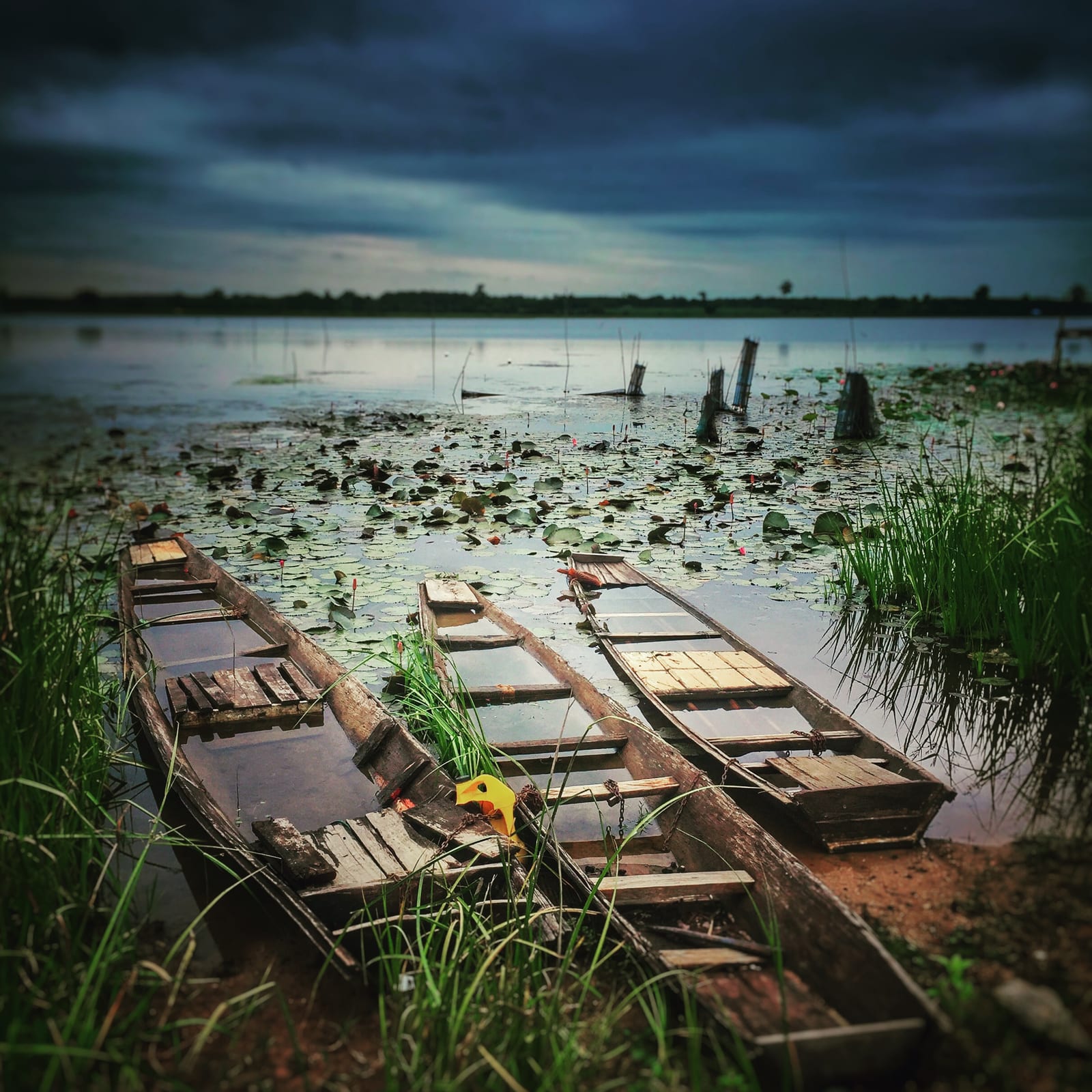 Bueng Khong Long