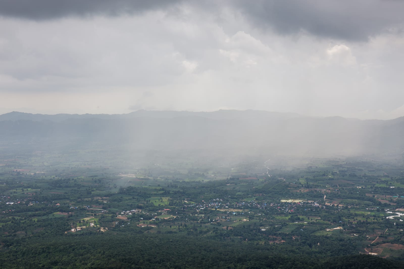 Sai Thong National Park (Thung Bua Sawan · Pha Sut Phaen Din · Pha Hum Hod)
