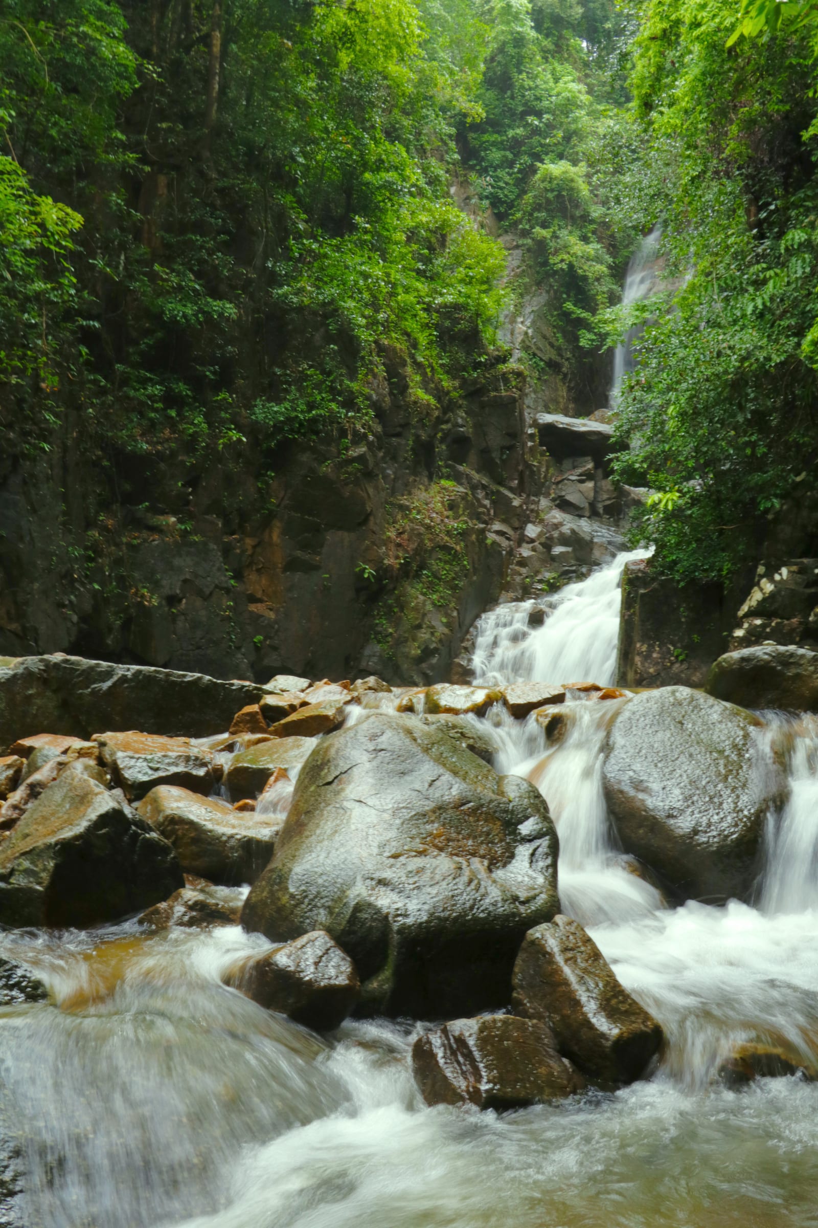 อุทยานแห่งชาติน้ำตกพลิ้ว
