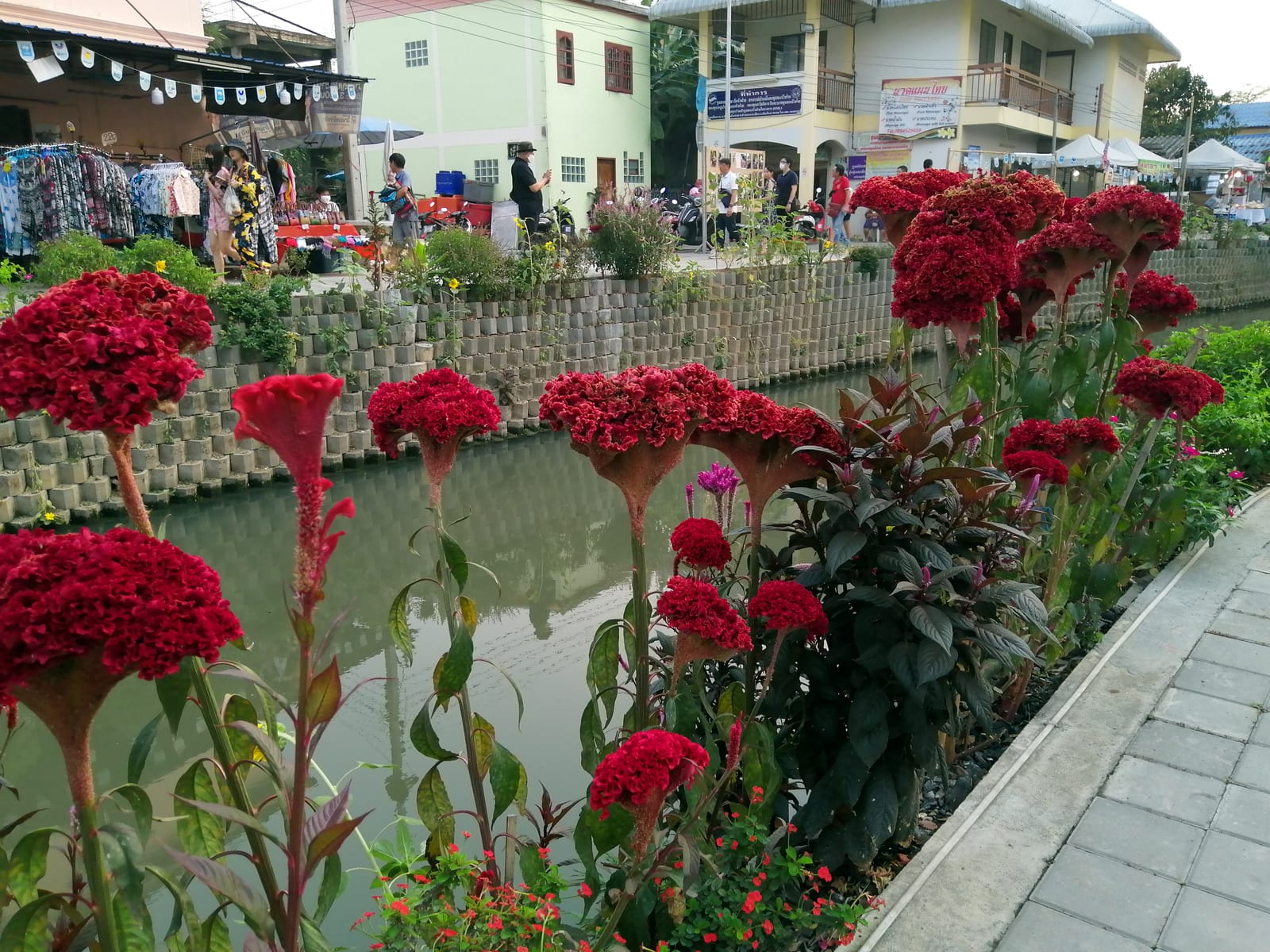 คลองแม่ข่า