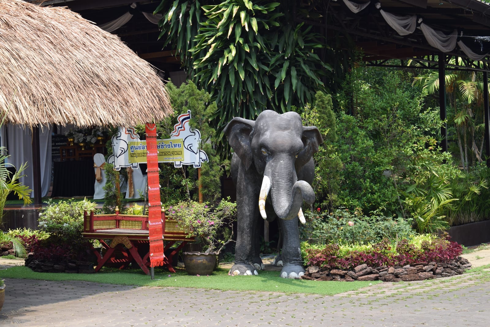 ศูนย์อนุรักษ์ช้างไทย (สถาบันคชบาลแห่งชาติ)