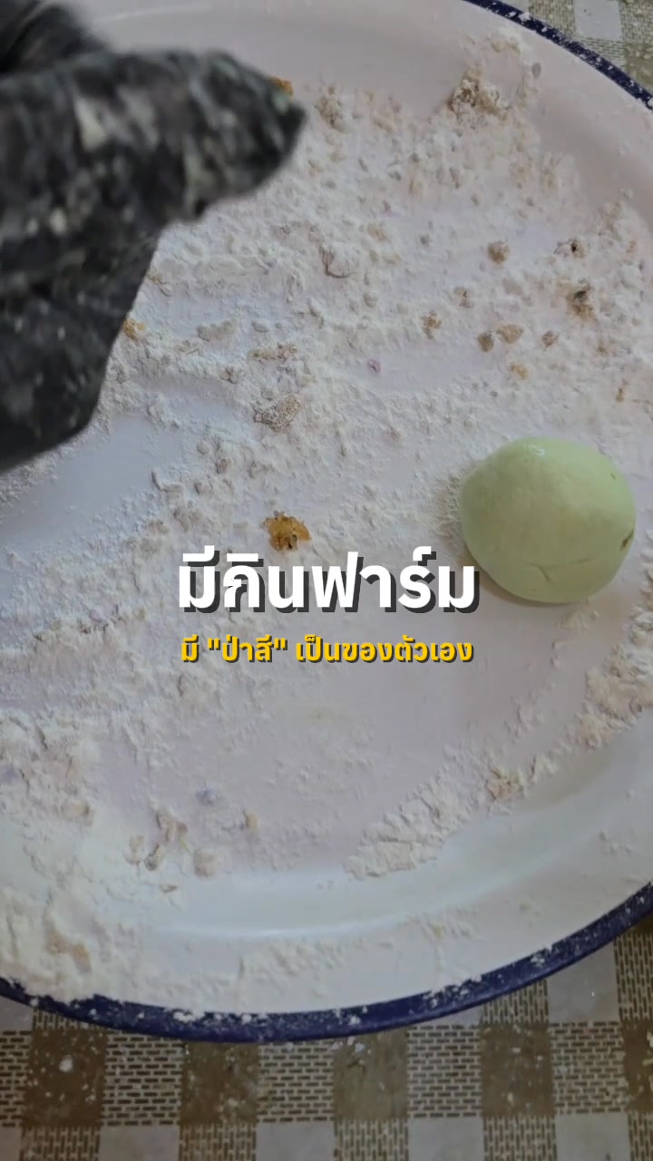 Mekin Farm (มีกินฟาร์ม)