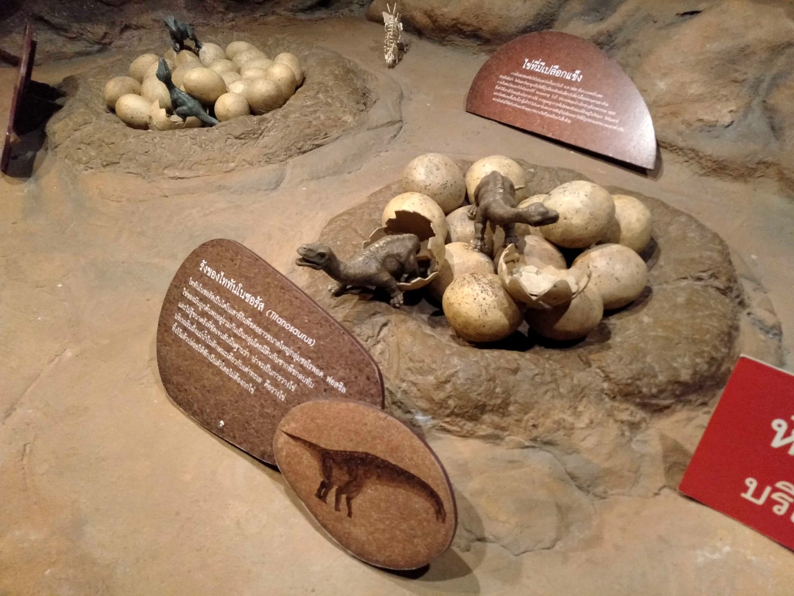 พิพิธภัณฑ์เด็กกรุงเทพมหานคร แห่งที่ 1 (Children's Discovery Museum)