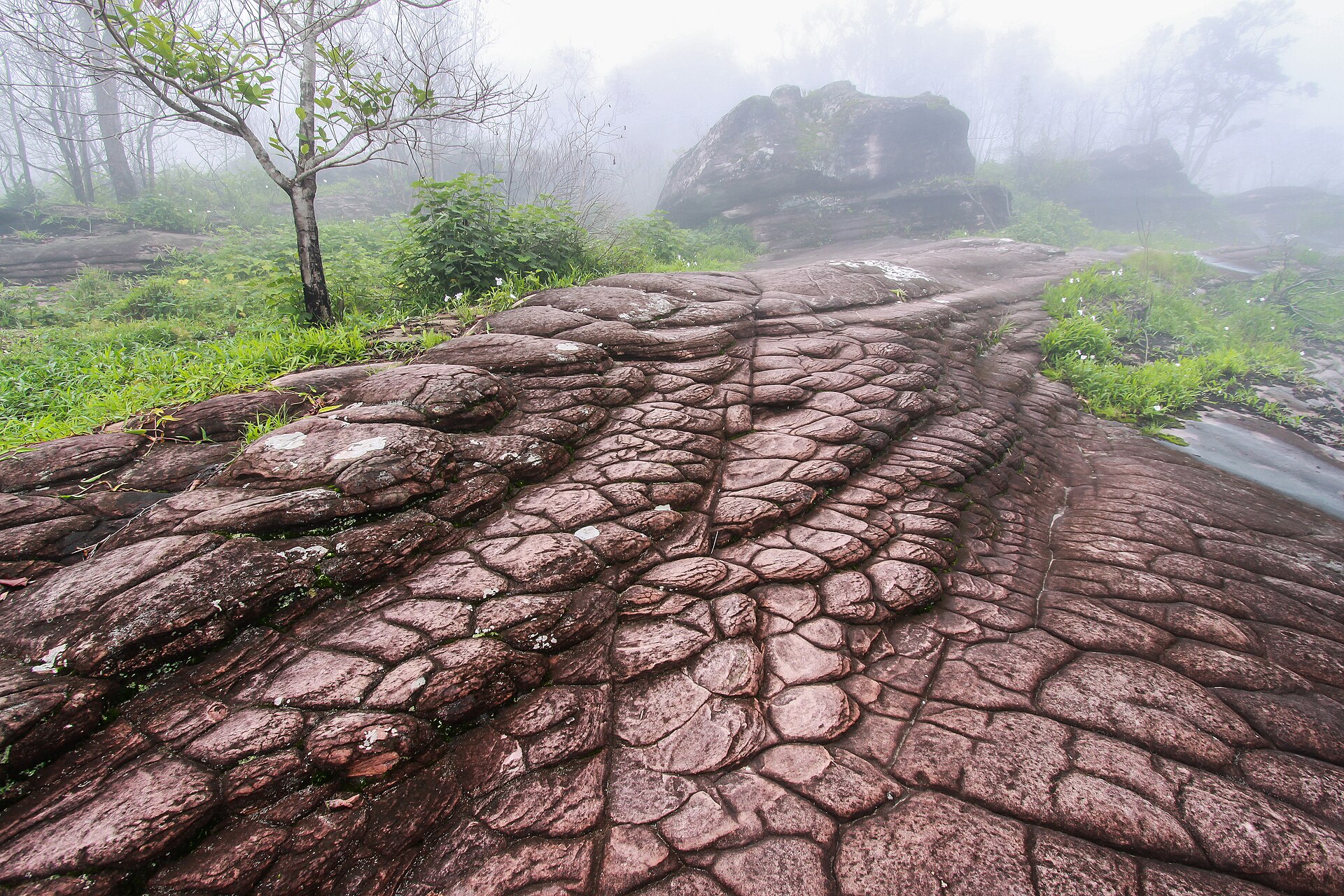 อุทยานแห่งชาติภูหินร่องกล้า