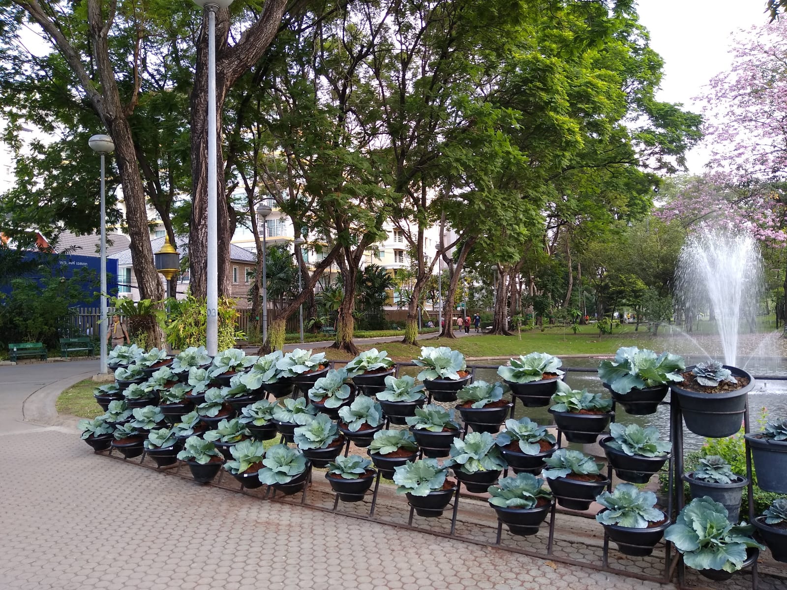 สวนสันติภาพ (Santiphap Park)