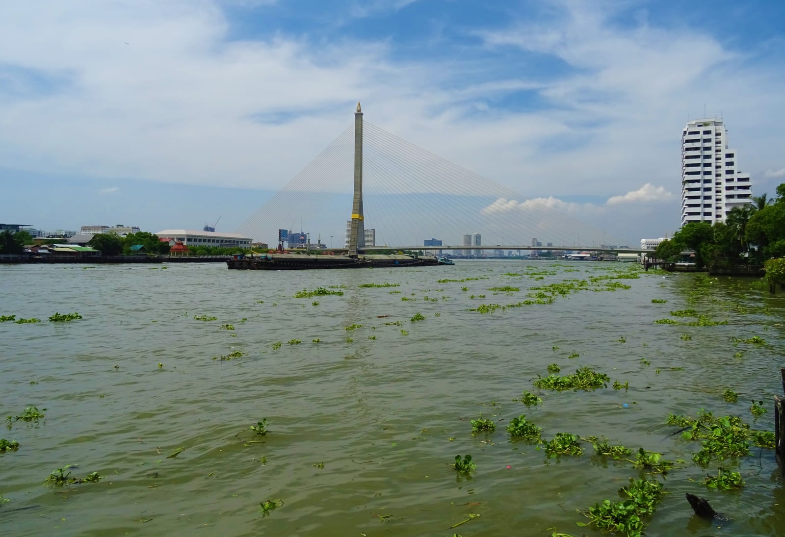 สะพานพระราม 8 & สวนหลวงพระราม 8