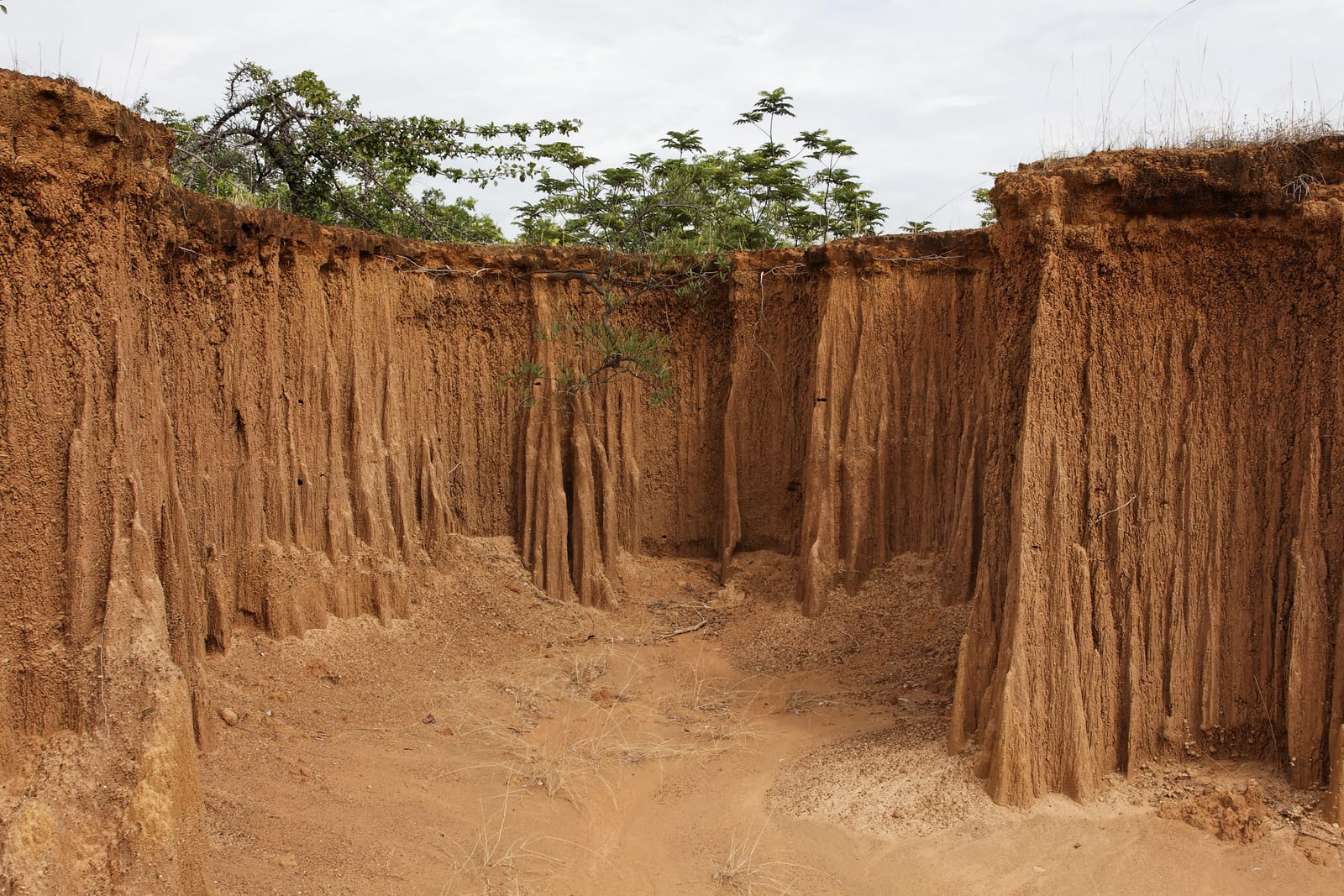 Lalu (Earth Pillars)