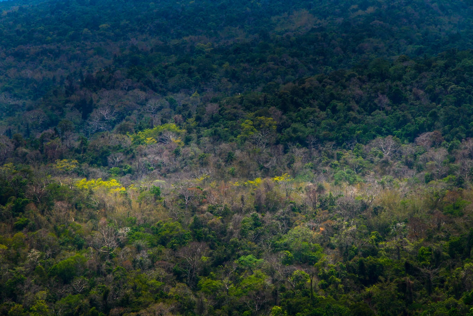 Pang Sida National Park (Pang Sida Waterfall + Butterfly Watching)
