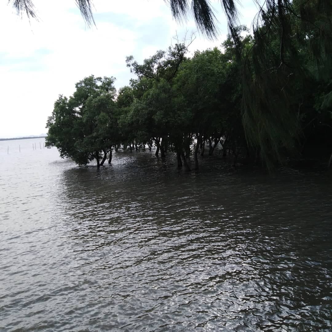 ดอนหอยหลอด
