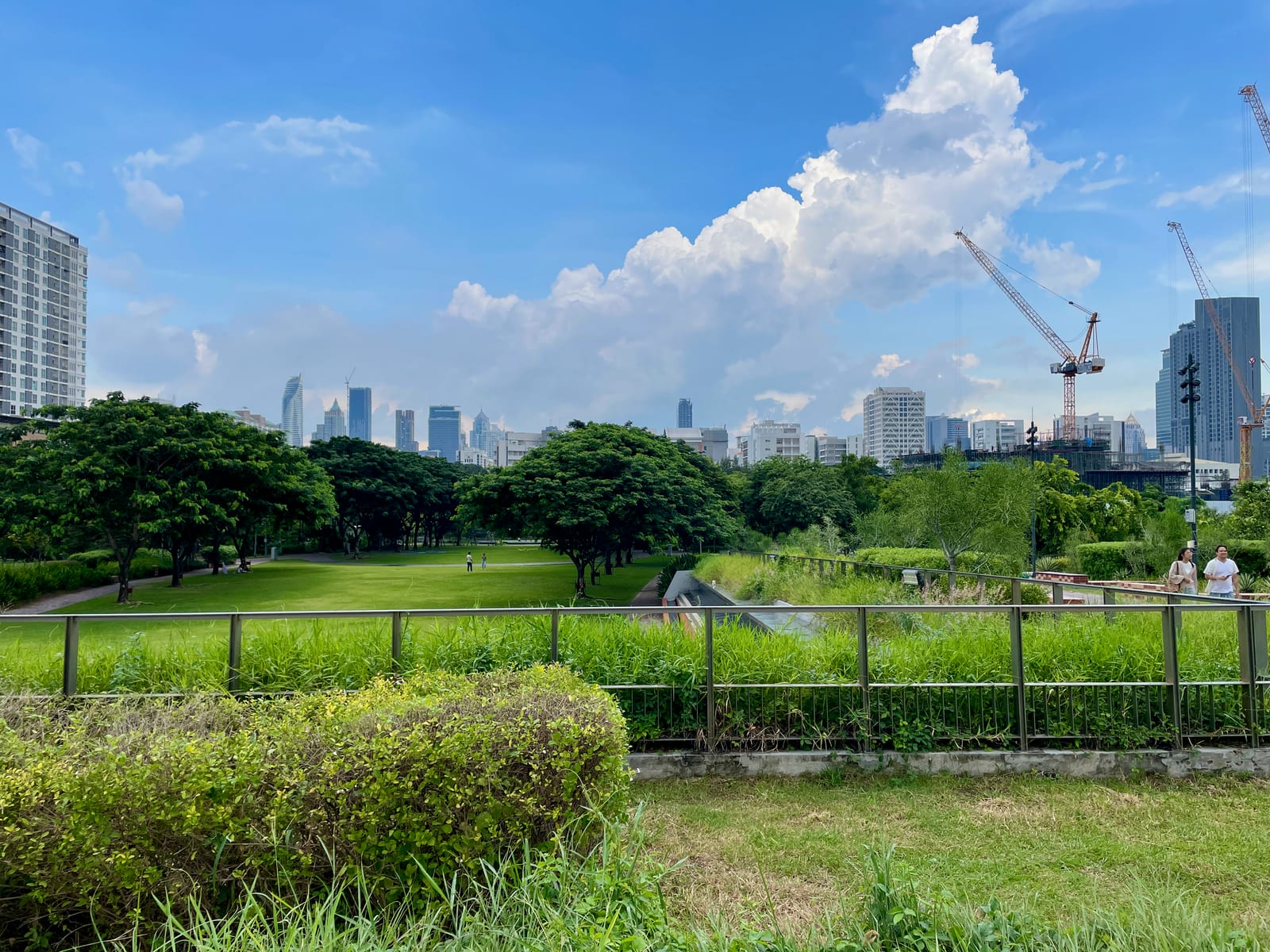 อุทยาน 100 ปี จุฬาลงกรณ์มหาวิทยาลัย (CU Centenary Park)