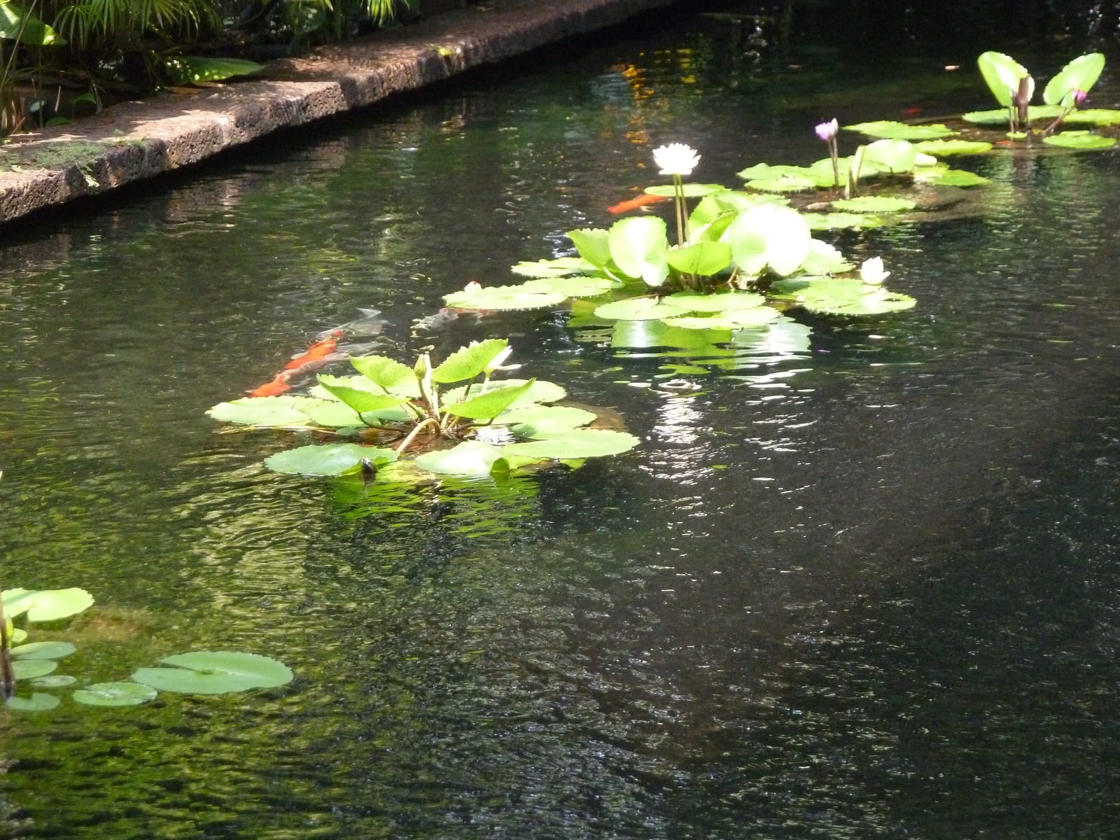 พิพิธภัณฑ์บ้านไทย จิม ทอมป์สัน (Jim Thompson House Museum)