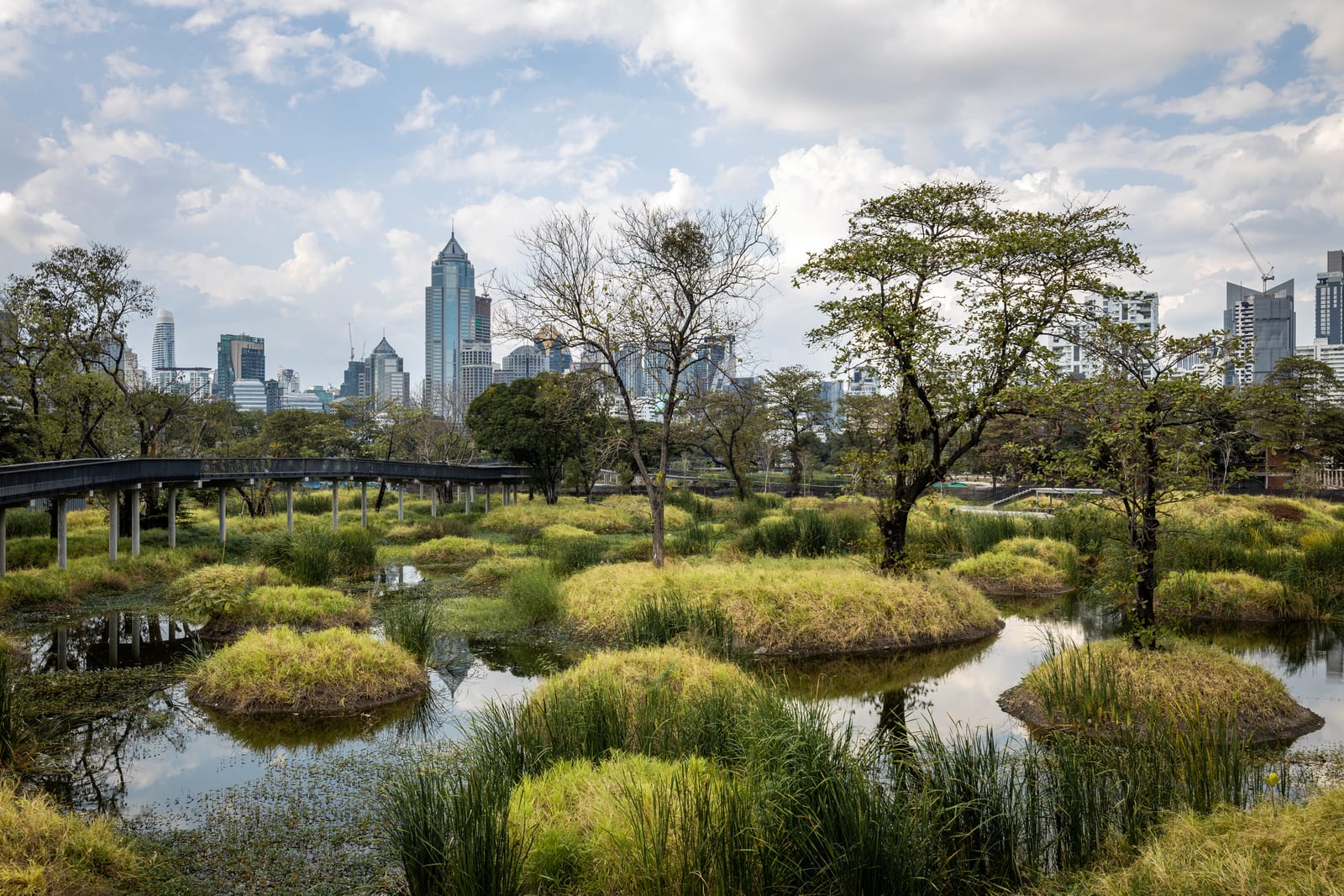 สวนป่าเบญจกิติ (Benjakitti Forest Park)