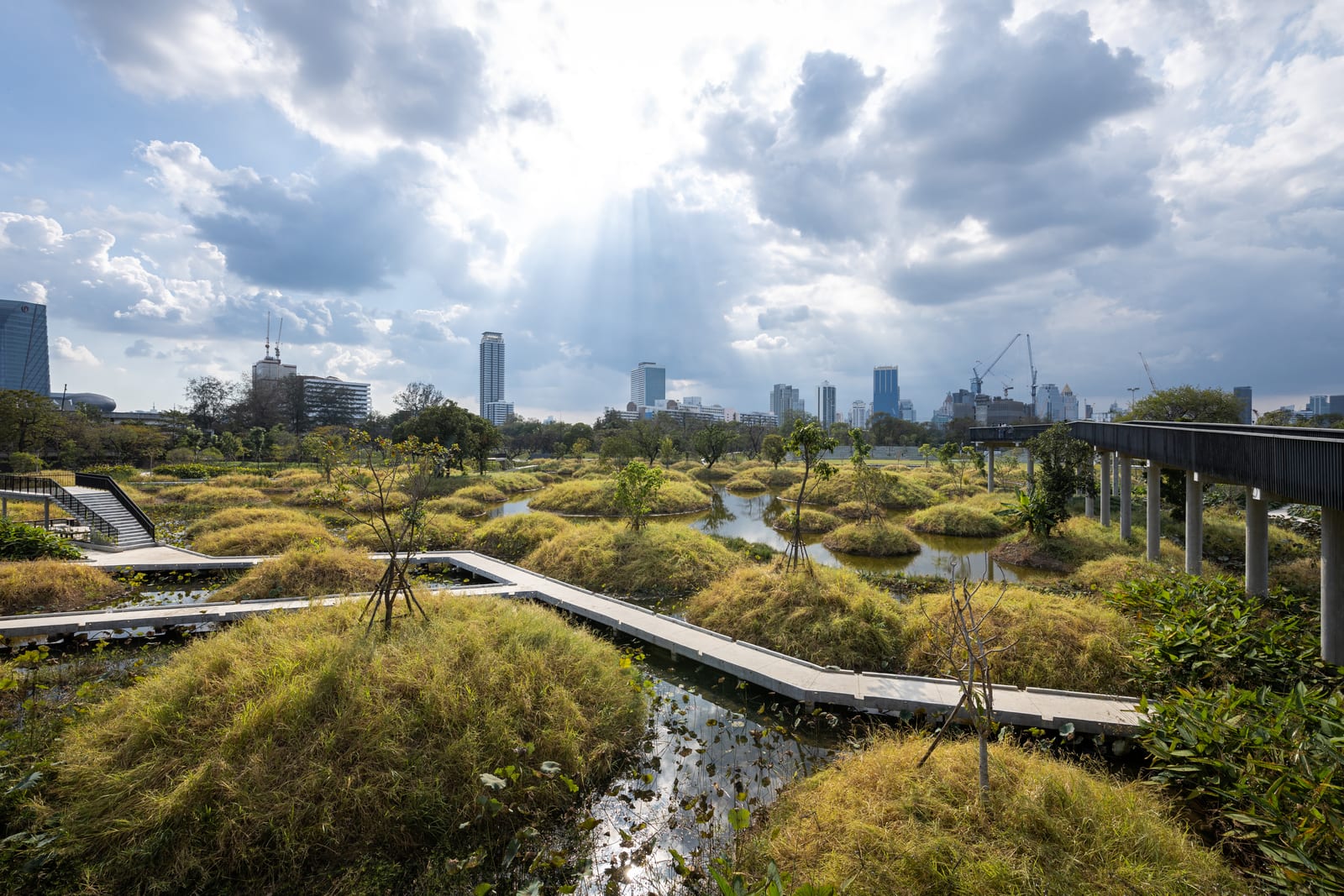 สวนป่าเบญจกิติ (Benjakitti Forest Park)